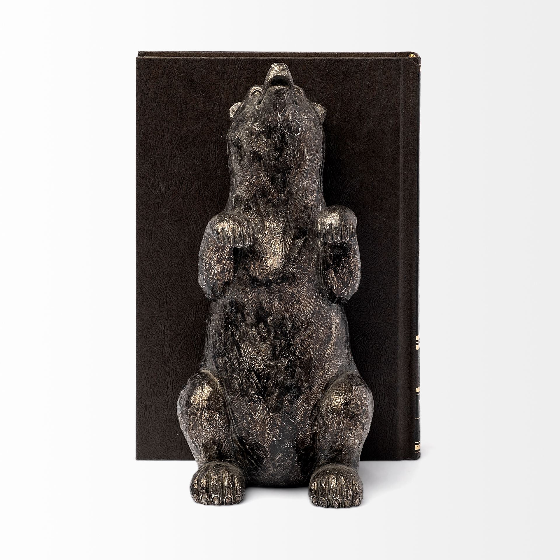 Sleuth (Set of 2) 9L x 8W Grizzly Bear Bookends - Central Designs