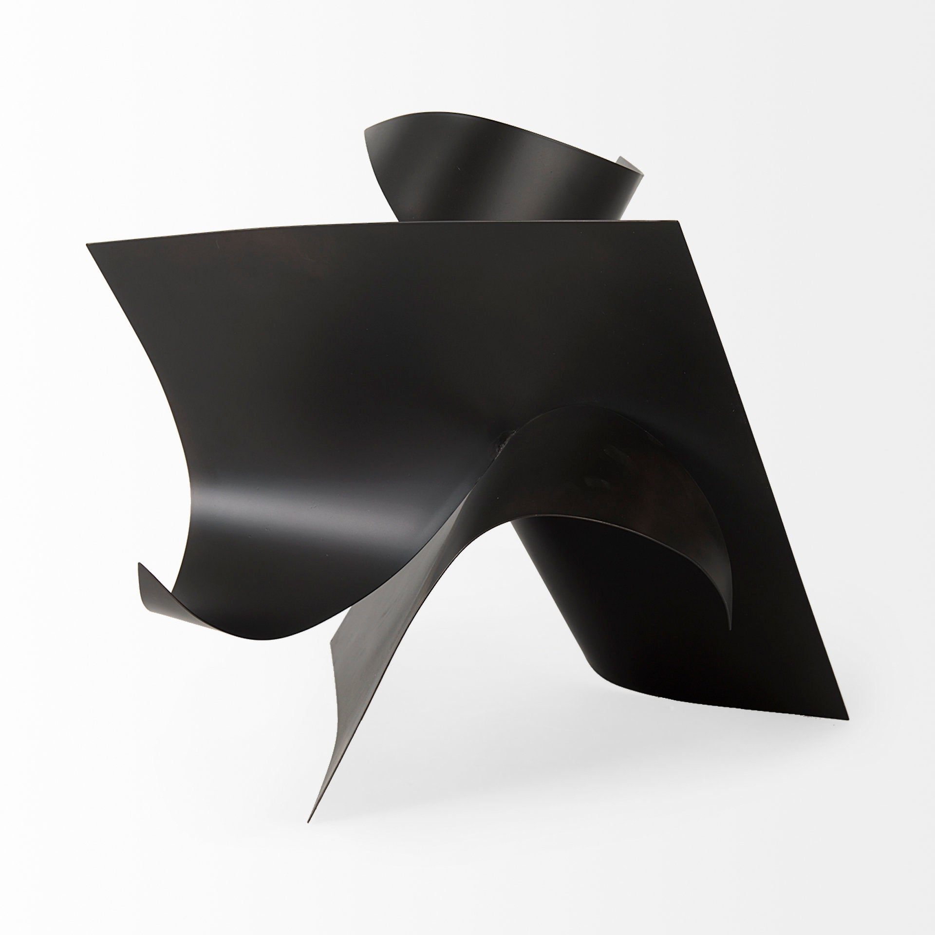 Francesca 18.1L x 18.1W x 18.1H Black Metal Sculptural Decorative Object - Central Designs