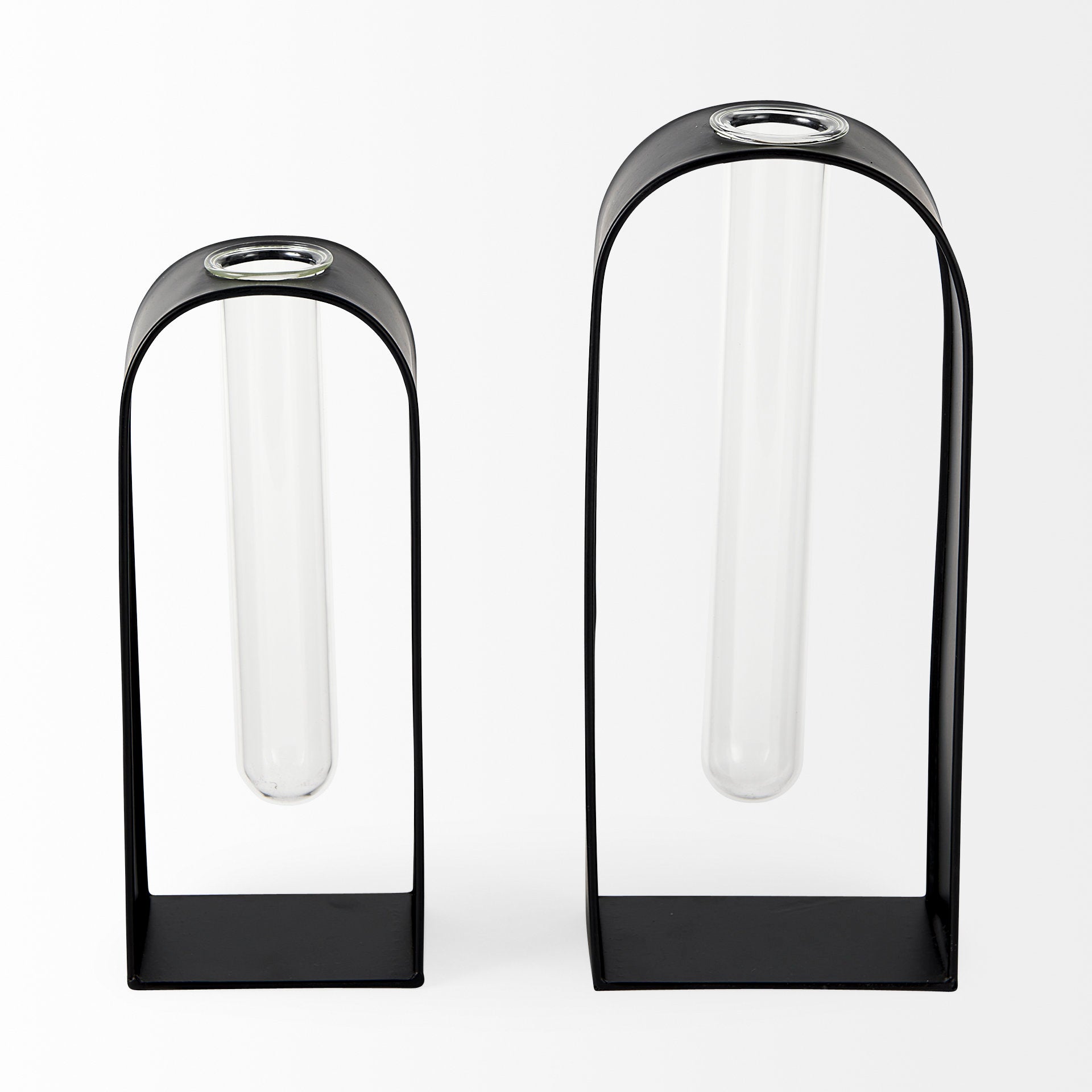 Boyer 5.1L x 3.0W x 12.0H Black Metal W/Glass Set of Two Test Tube Decorative Objects - Central Designs
