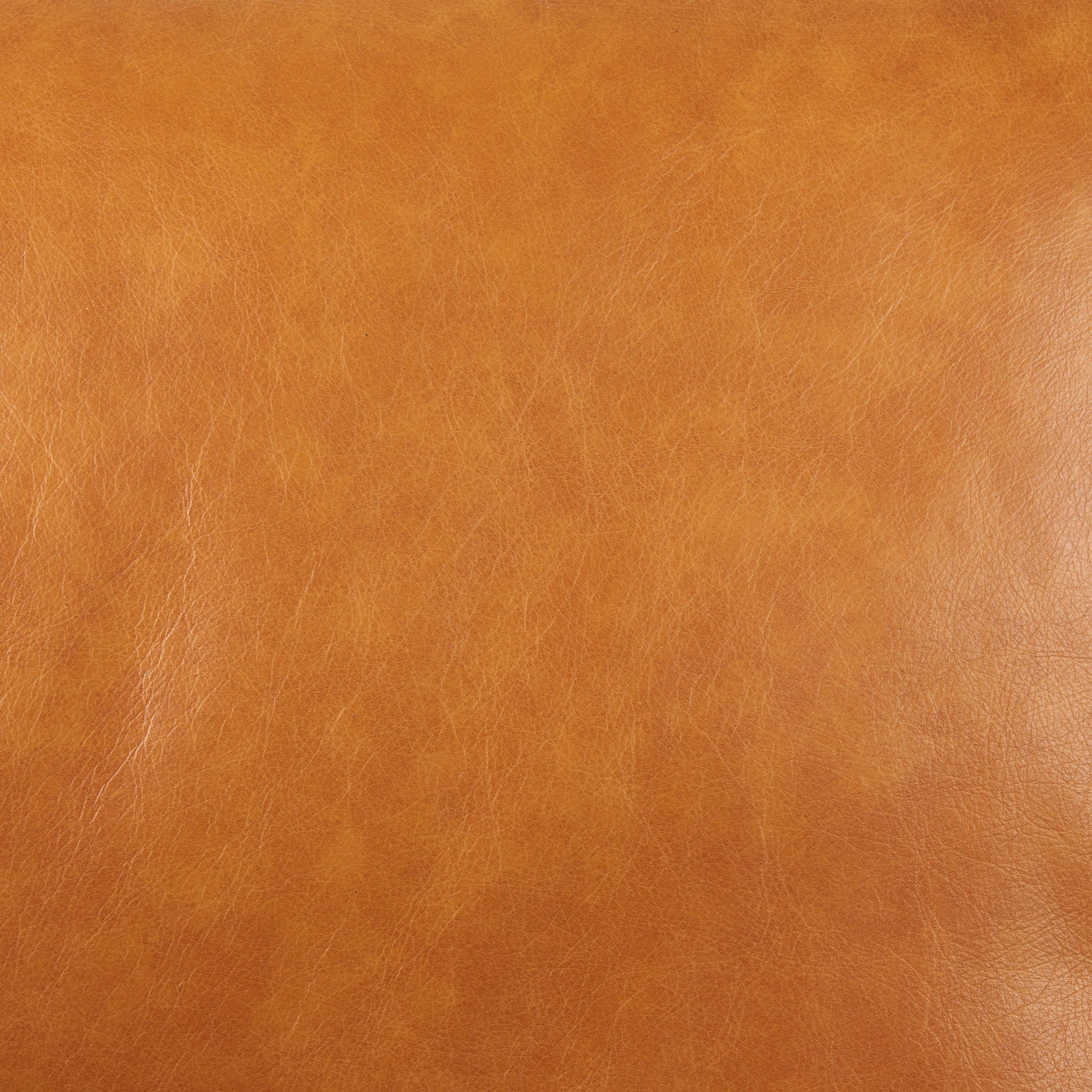 Svend 65.0L x 38.0W x 34.0H Tan Leather Love Seat Sofa - Central Designs