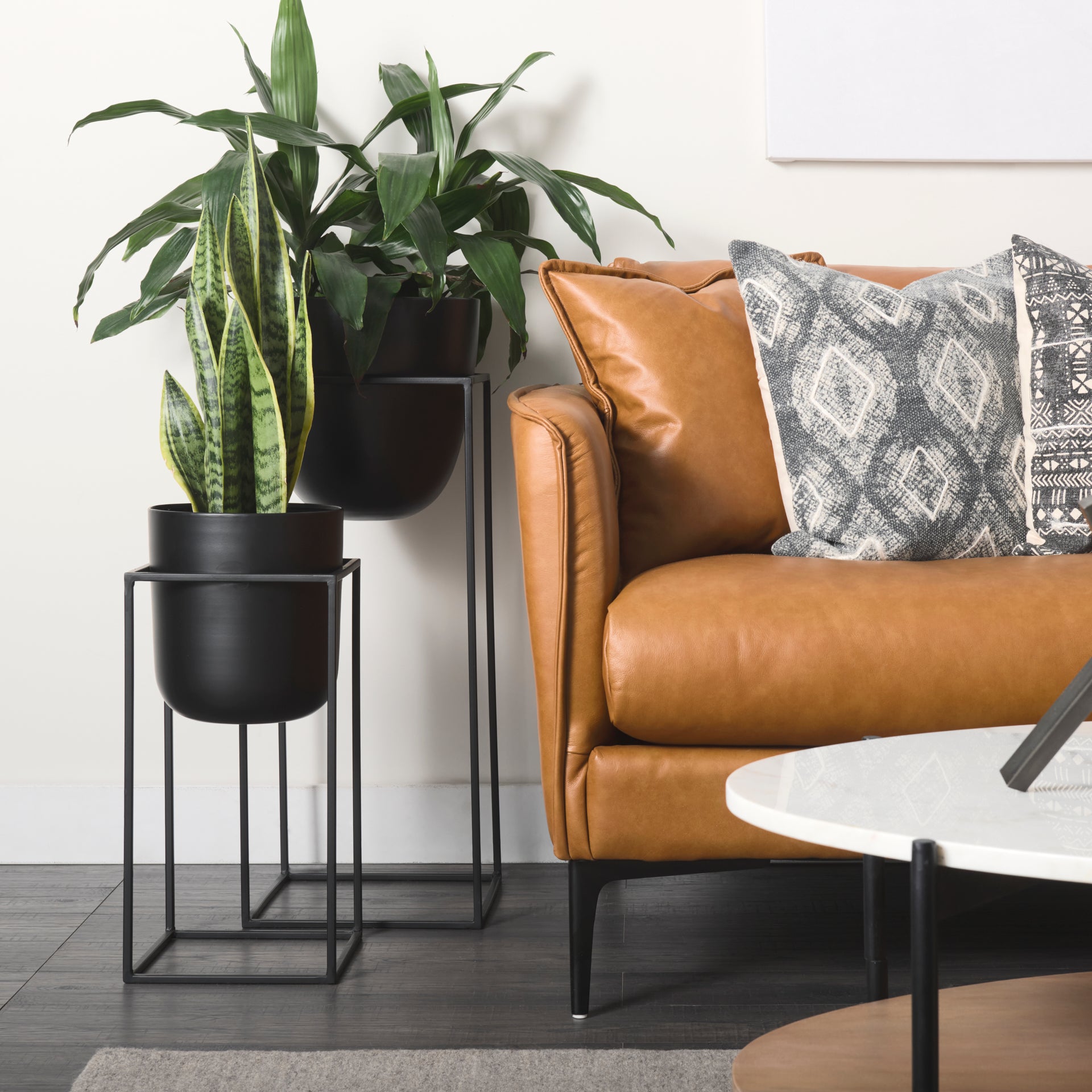Bumble (Set of 2) 12L x 12W x 32H Black Plant Stands - Central Designs