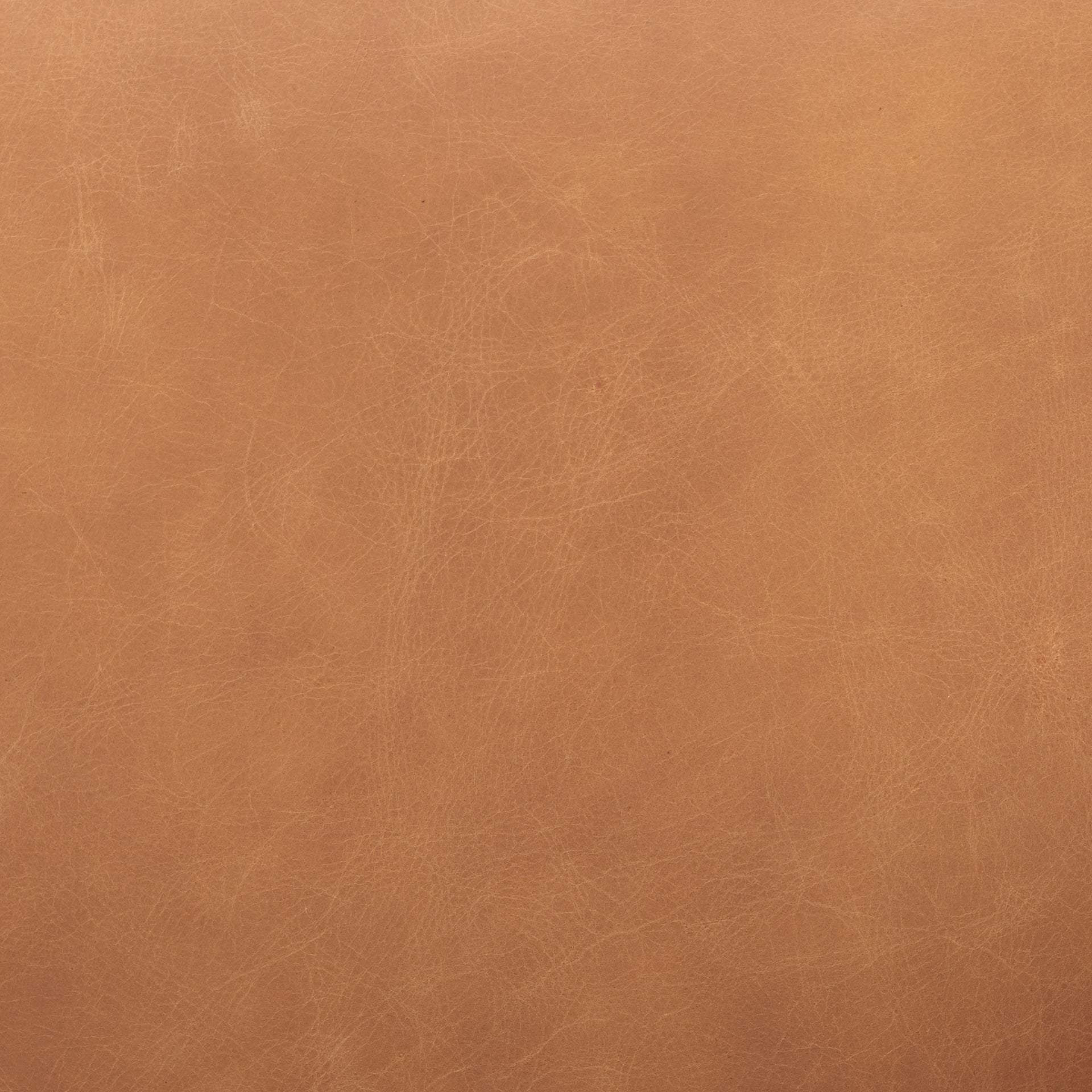 Ashton Brown Leather w/ Light Wood Accent Chair - Central Designs