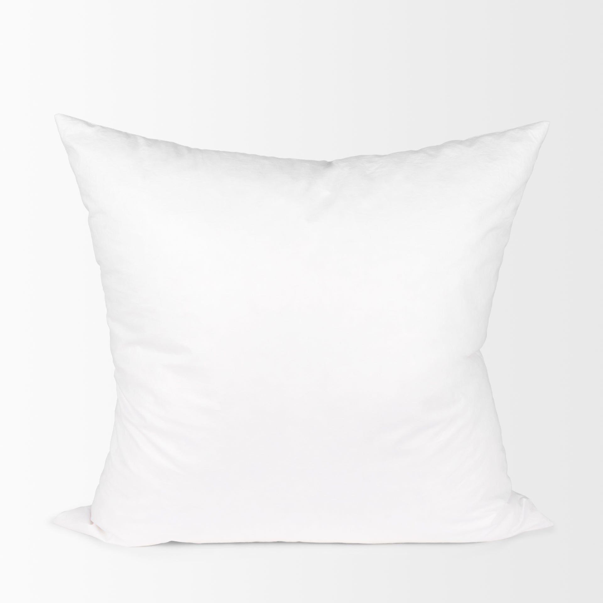 22 x 22 Down pillow insert