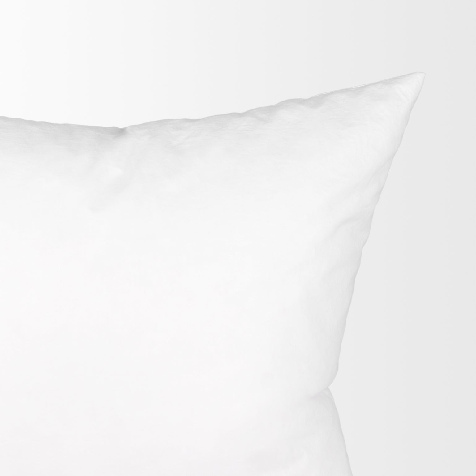 20 x 20 Down pillow insert