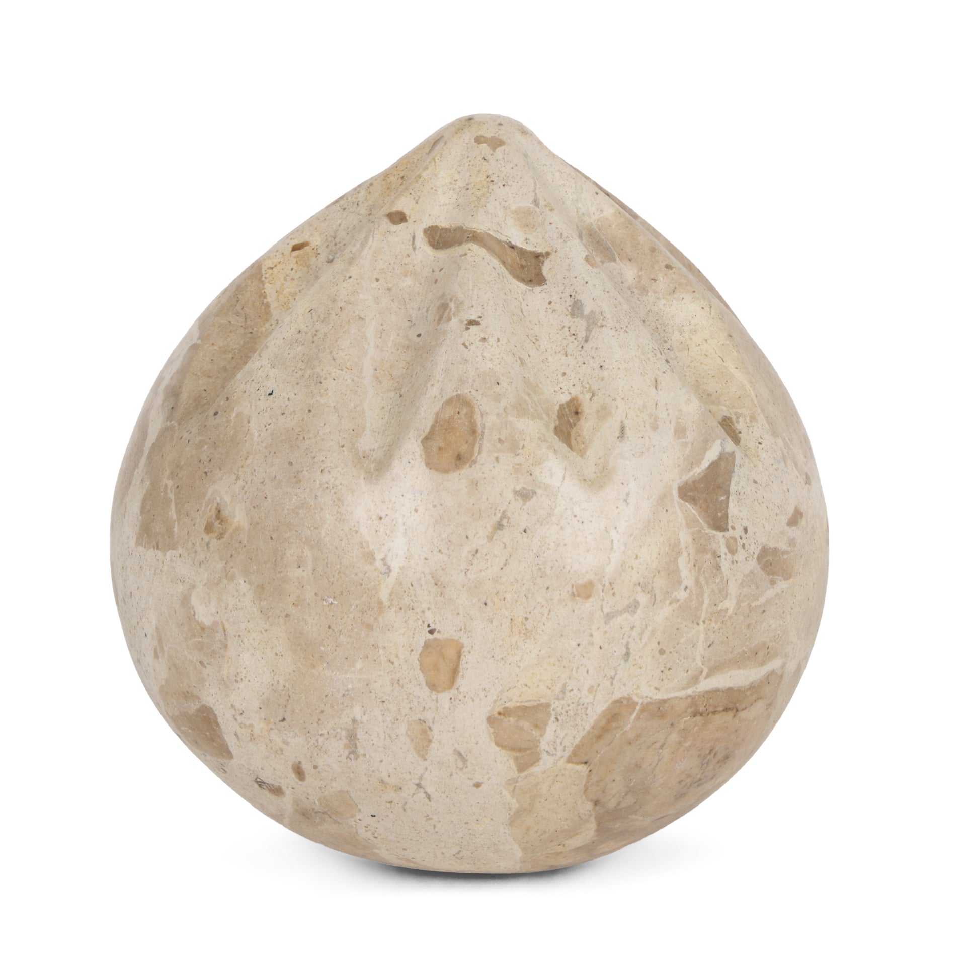 Caprie Large Beige Marble Decorative Juicer - Central Designs