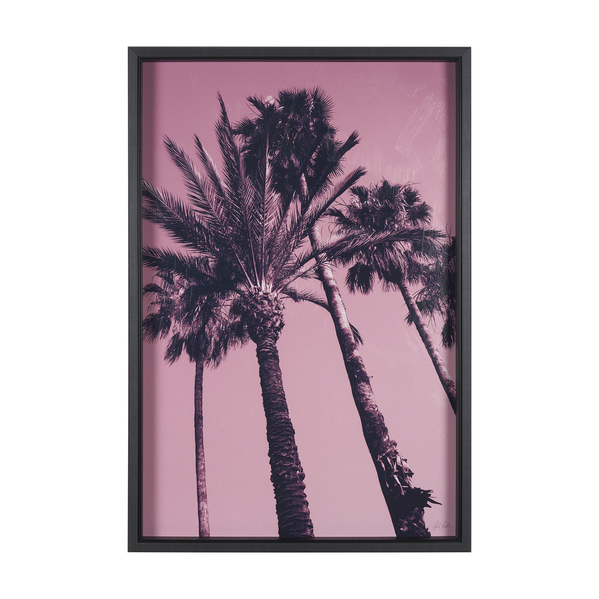 Pink Palms II by Deborah Revell a Hand Embellished Framed Photo Art Print - Central Designs