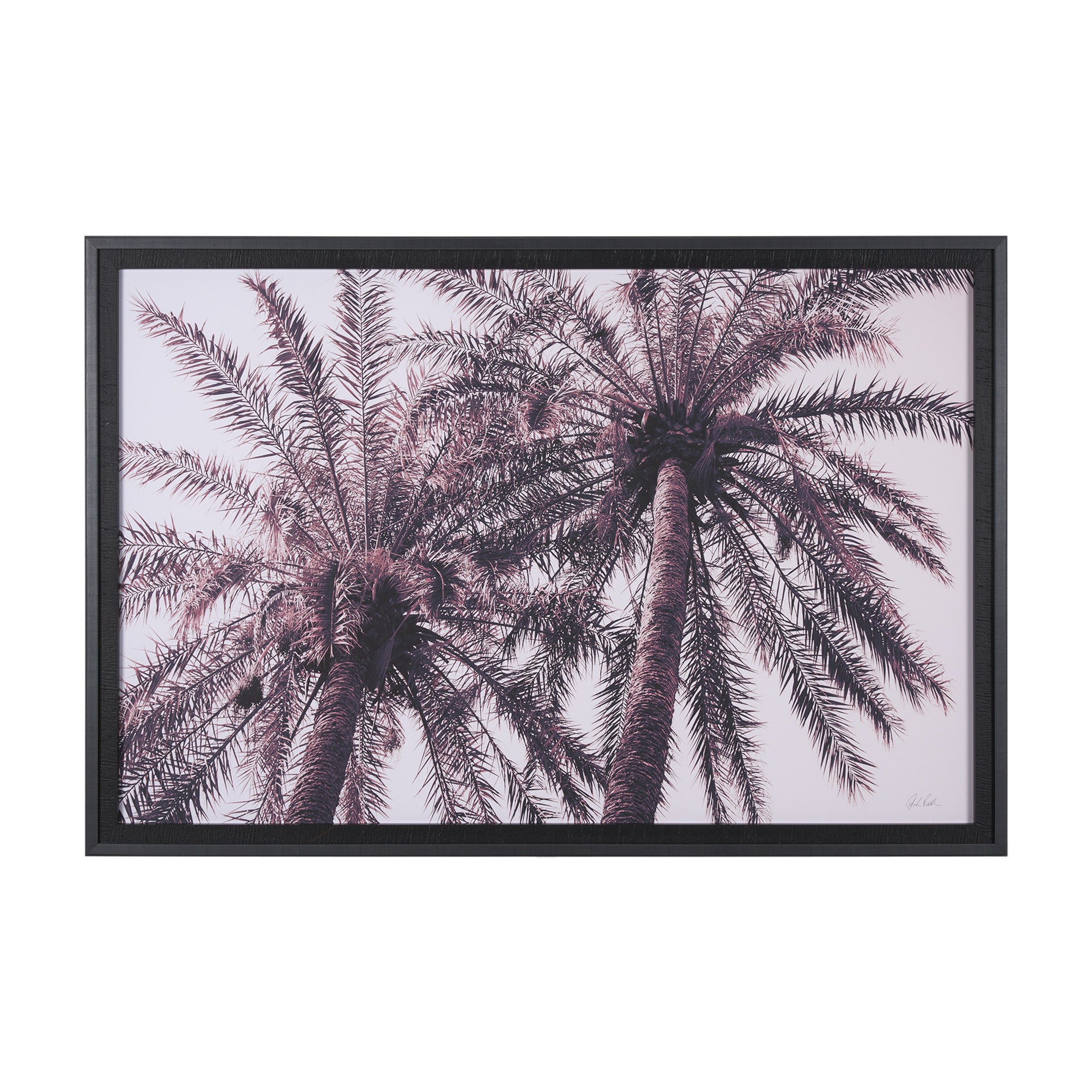 Pink Palms Horizontal by Deborah Revell a Framed Photo Art Print Matted under Glass - Central Designs