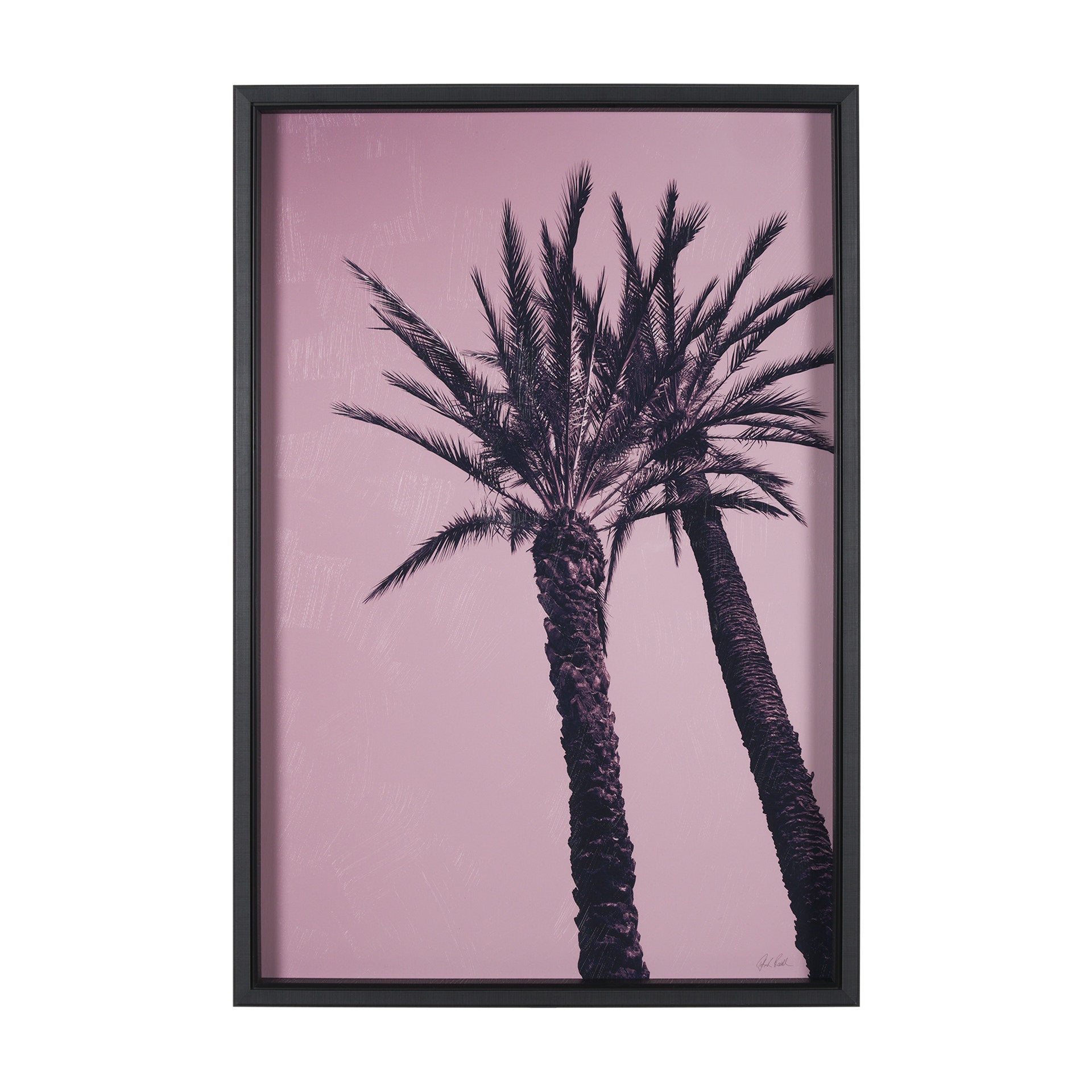 Pink Palms I by Deborah Revell a Hand Embellished Framed Photo Art Print - Central Designs