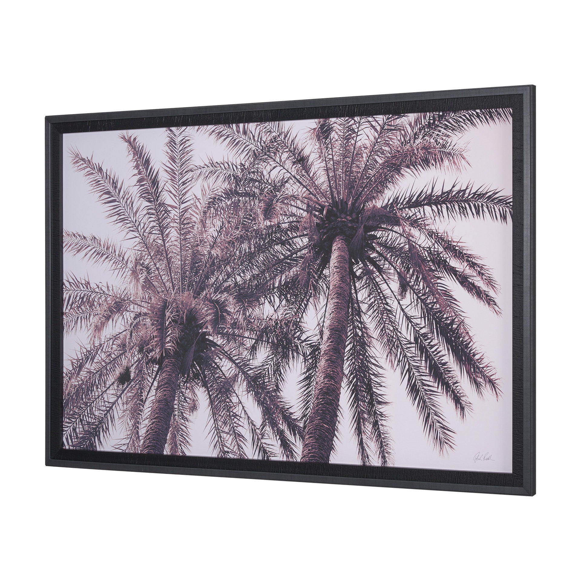 Pink Palms Horizontal by Deborah Revell a Framed Photo Art Print Matted under Glass - Central Designs