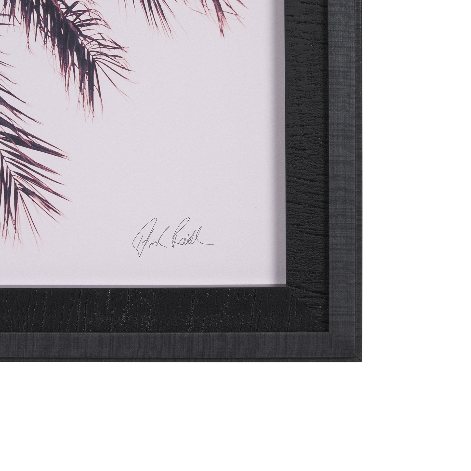 Pink Palms Horizontal by Deborah Revell a Framed Photo Art Print Matted under Glass - Central Designs