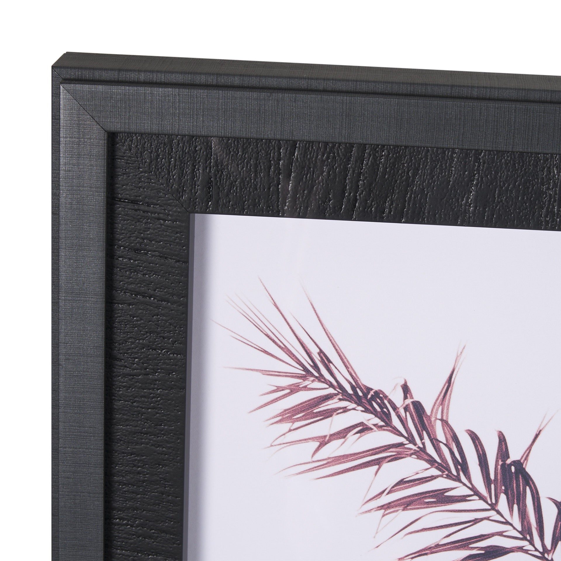 Pink Palms Horizontal by Deborah Revell a Framed Photo Art Print Matted under Glass - Central Designs