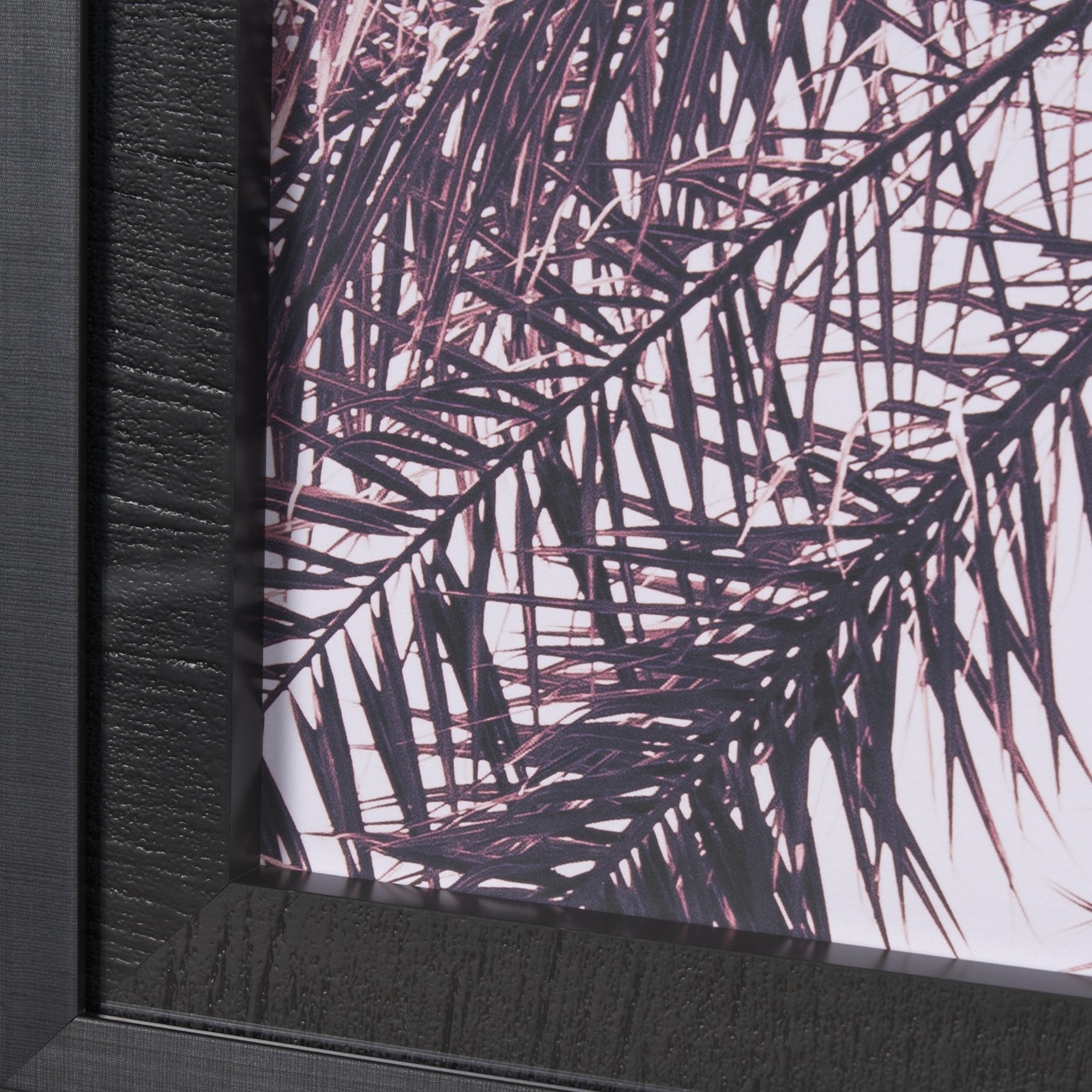 Pink Palms Horizontal by Deborah Revell a Framed Photo Art Print Matted under Glass - Central Designs