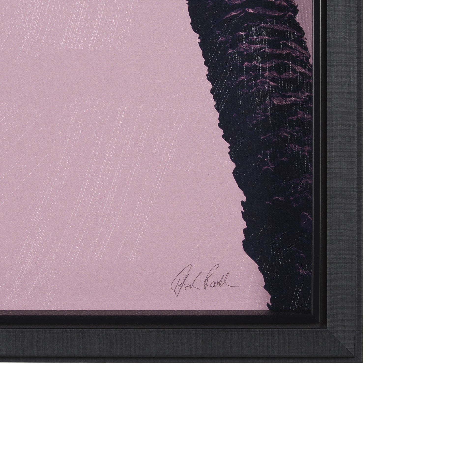 Pink Palms I by Deborah Revell a Hand Embellished Framed Photo Art Print - Central Designs