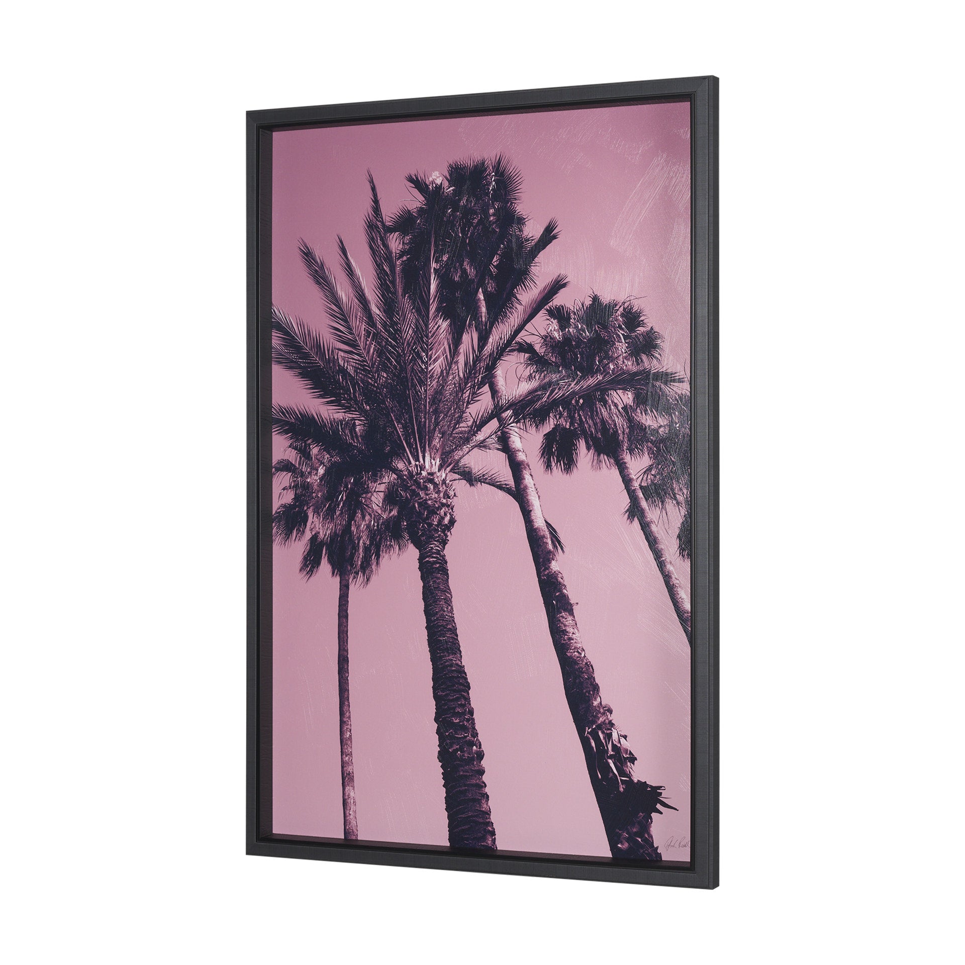 Pink Palms II by Deborah Revell a Hand Embellished Framed Photo Art Print - Central Designs