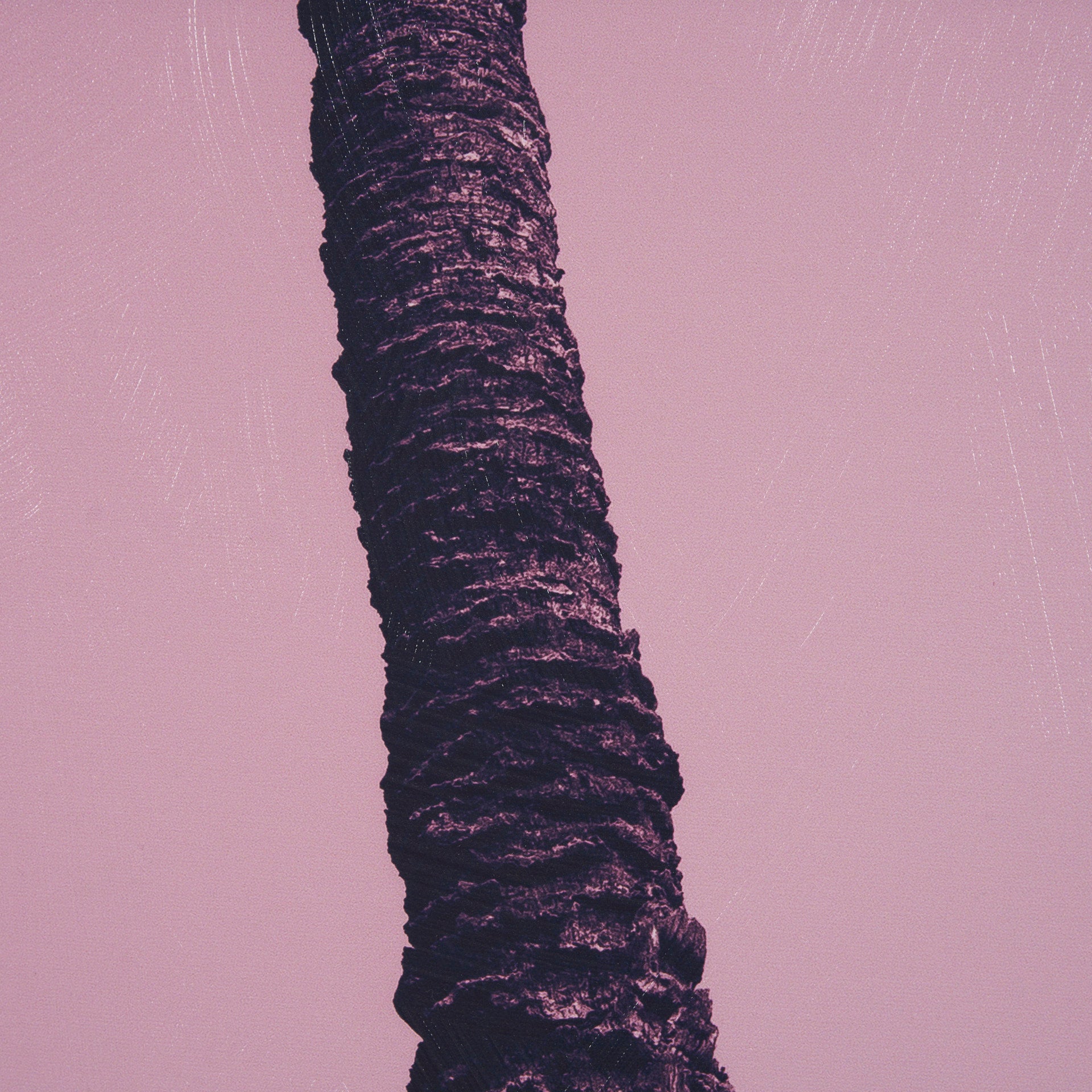 Pink Palms II by Deborah Revell a Hand Embellished Framed Photo Art Print - Central Designs