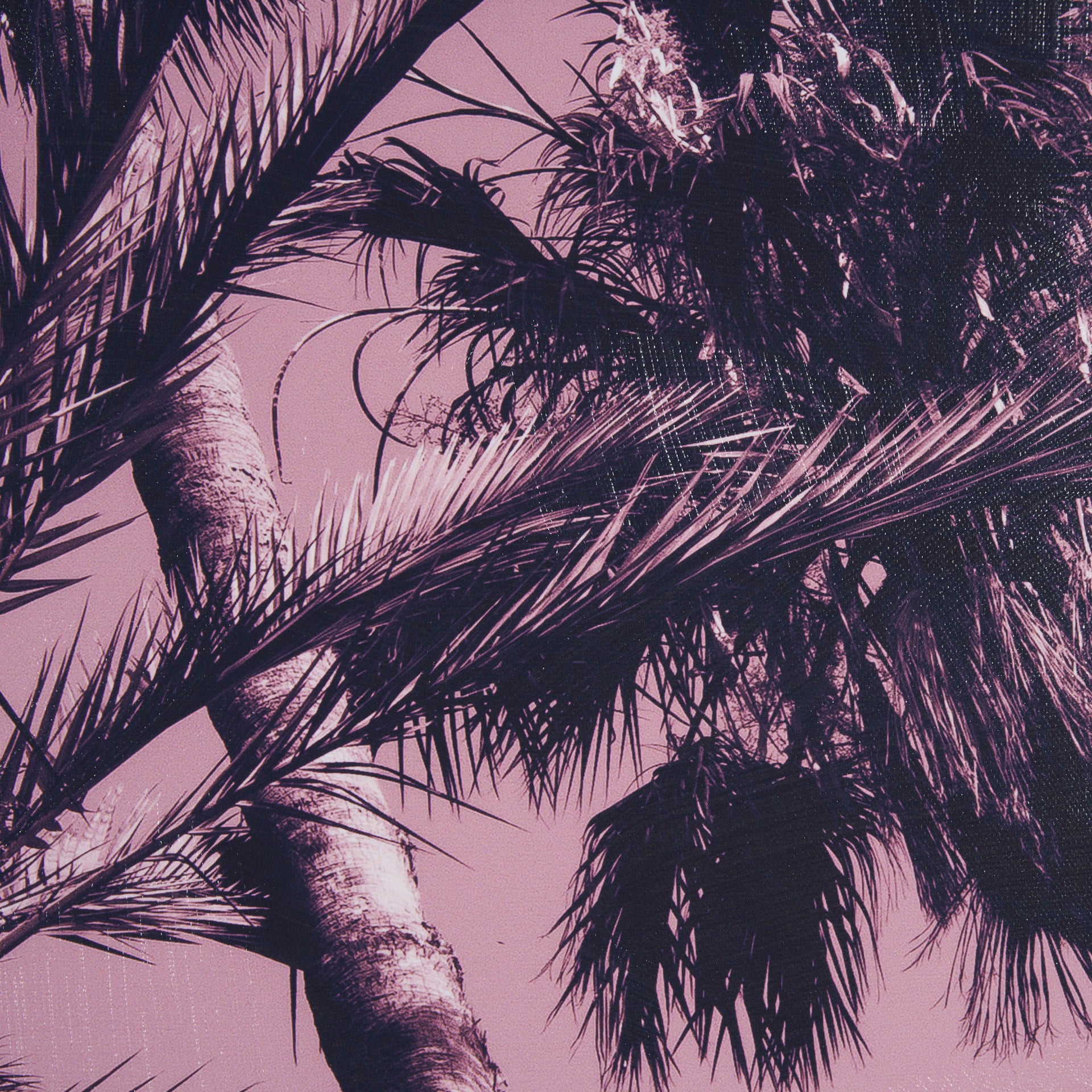 Pink Palms II by Deborah Revell a Hand Embellished Framed Photo Art Print - Central Designs