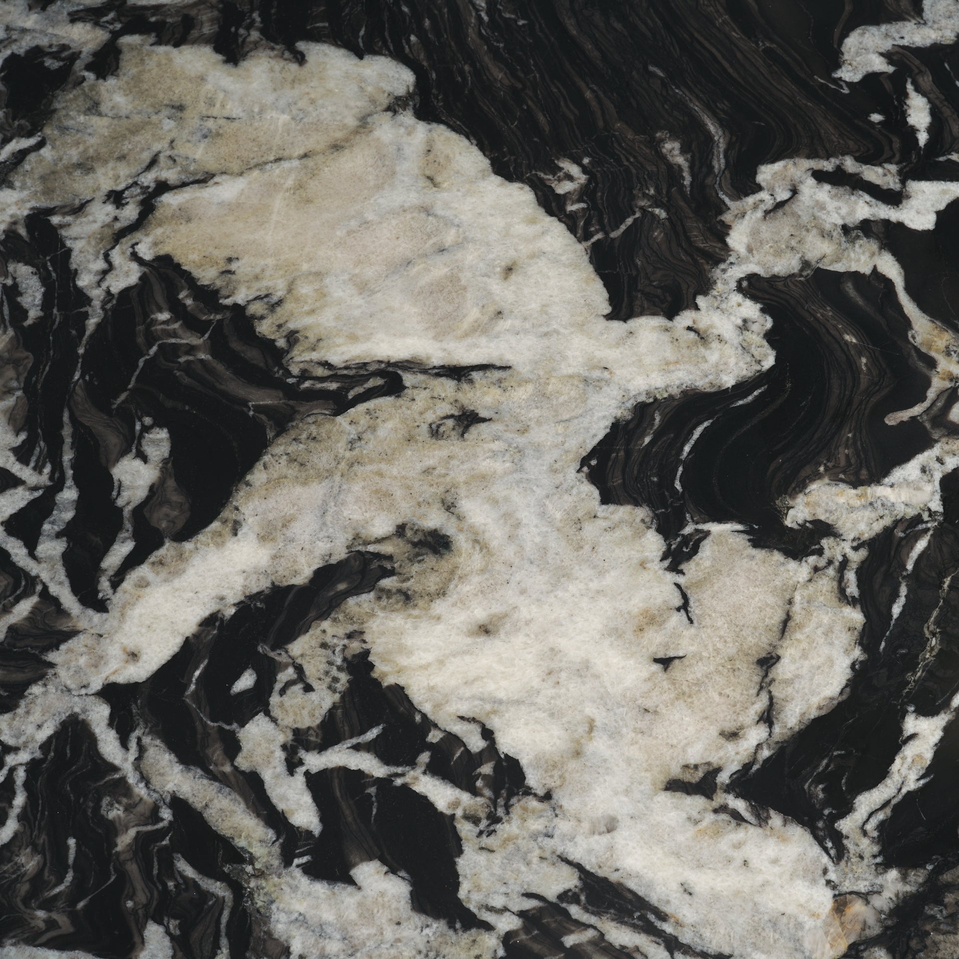 Marilyn Black Forest Marble Black Wood Pedestal Round Dining Table - Central Designs