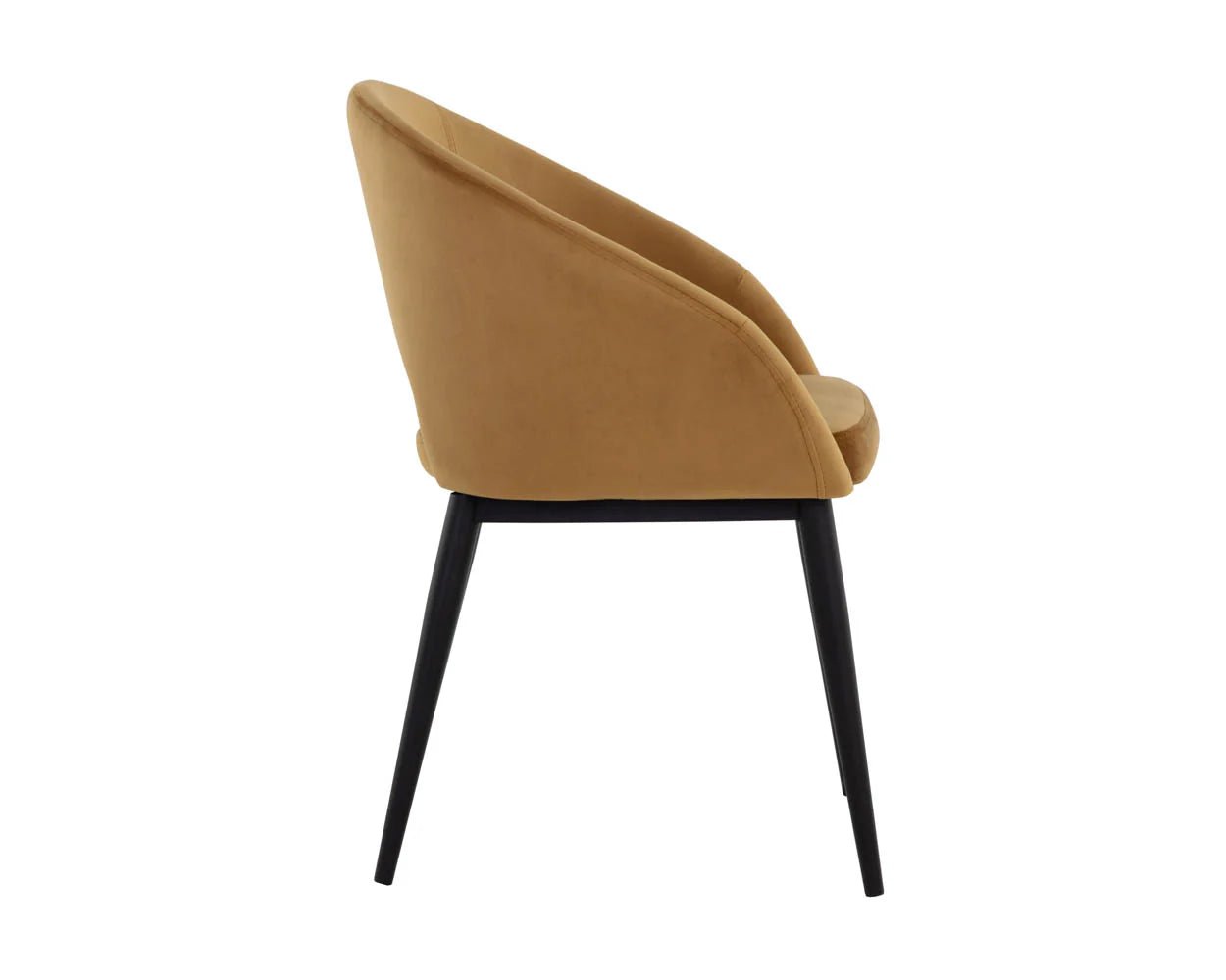 Thatcher Dining Armchair - Black - Gold Sky - Central Designs