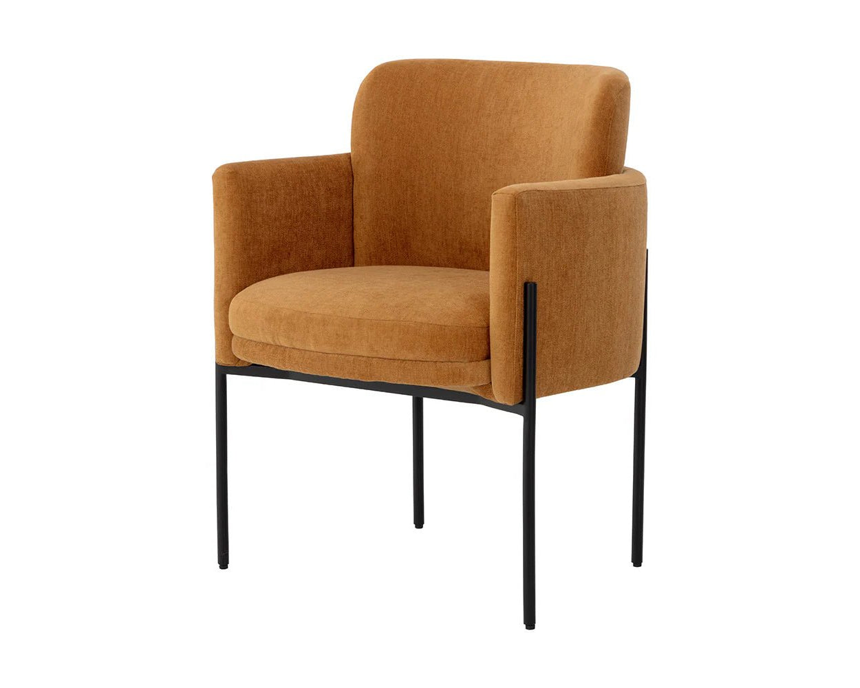 Richie Dining Armchair - Black - Danny Amber - Central Designs
