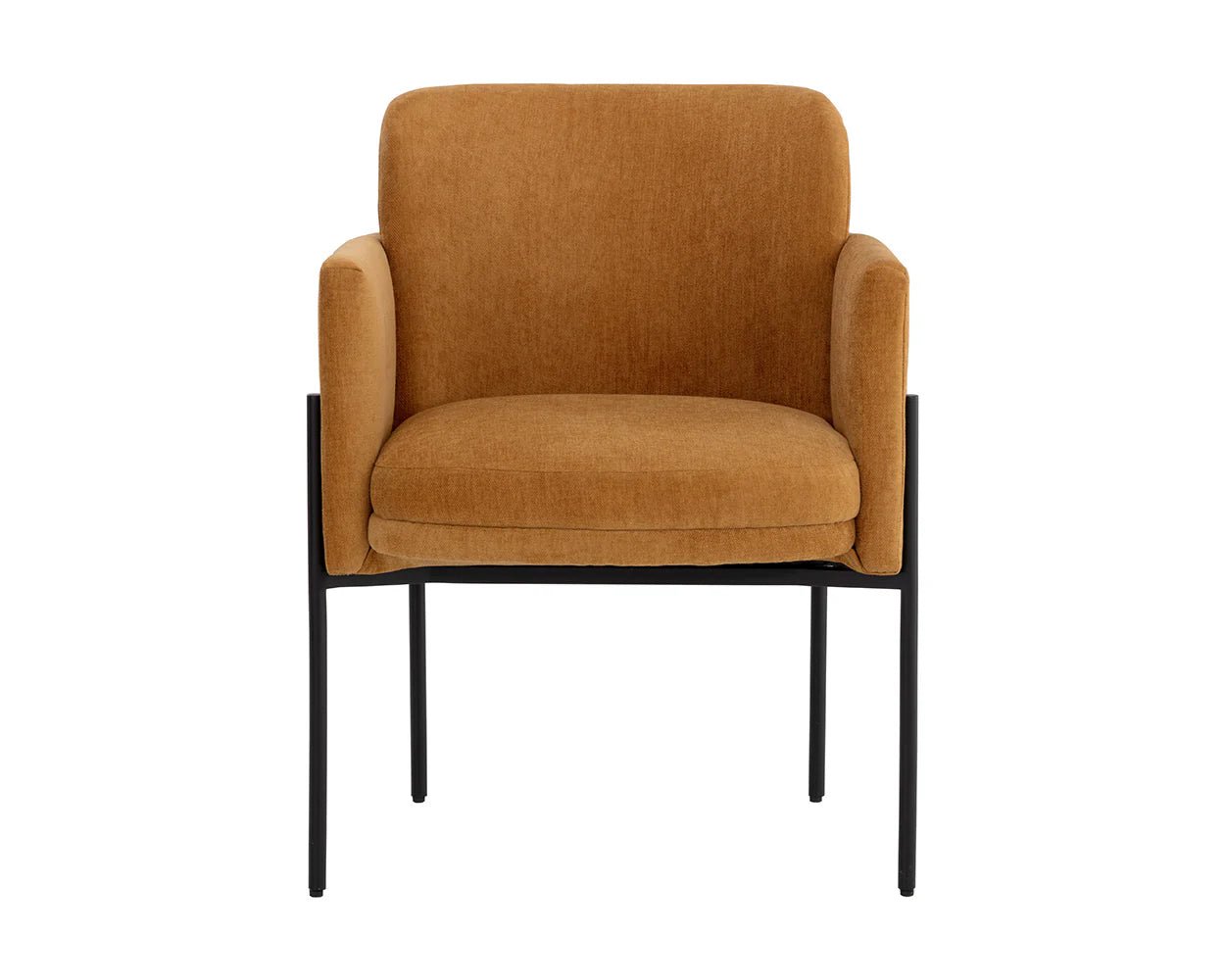 Richie Dining Armchair - Black - Danny Amber - Central Designs