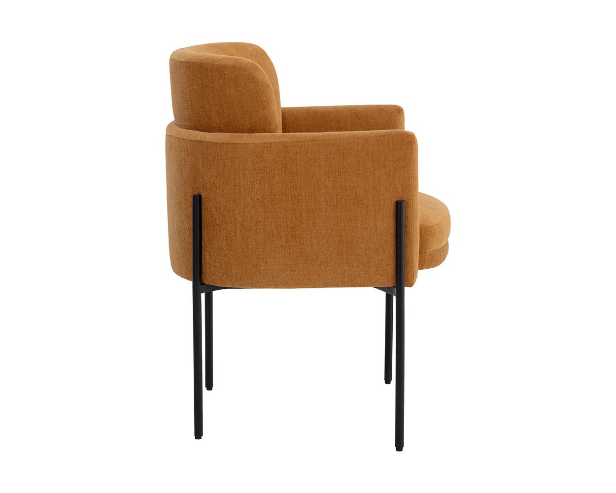 Richie Dining Armchair - Black - Danny Amber - Central Designs