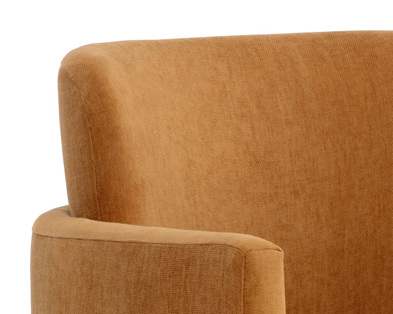 Richie Dining Armchair - Black - Danny Amber - Central Designs
