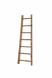 D - Bodhi Ladder - Central Designs