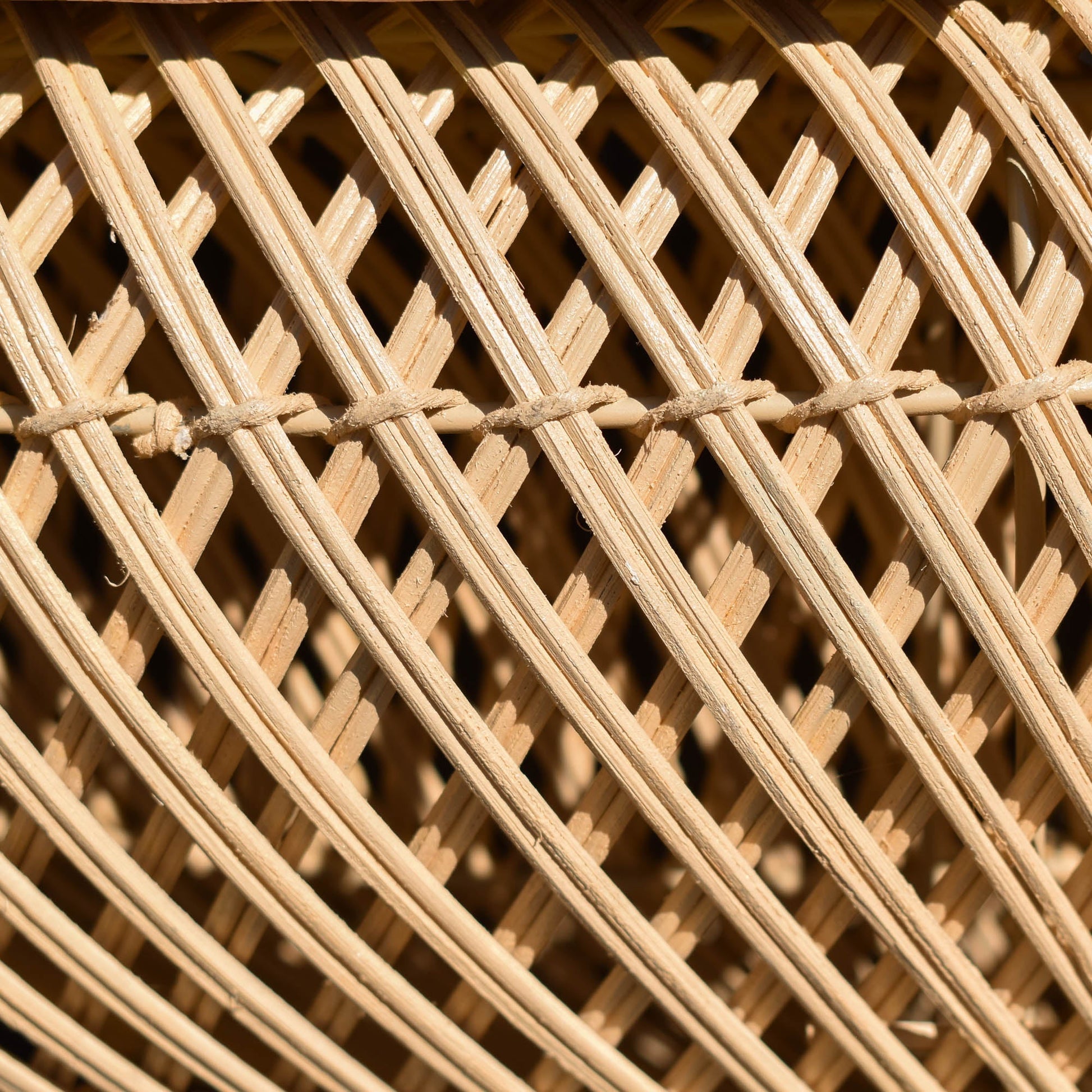 D - Bodhi Wave Coffee Table - Natural - Central Designs