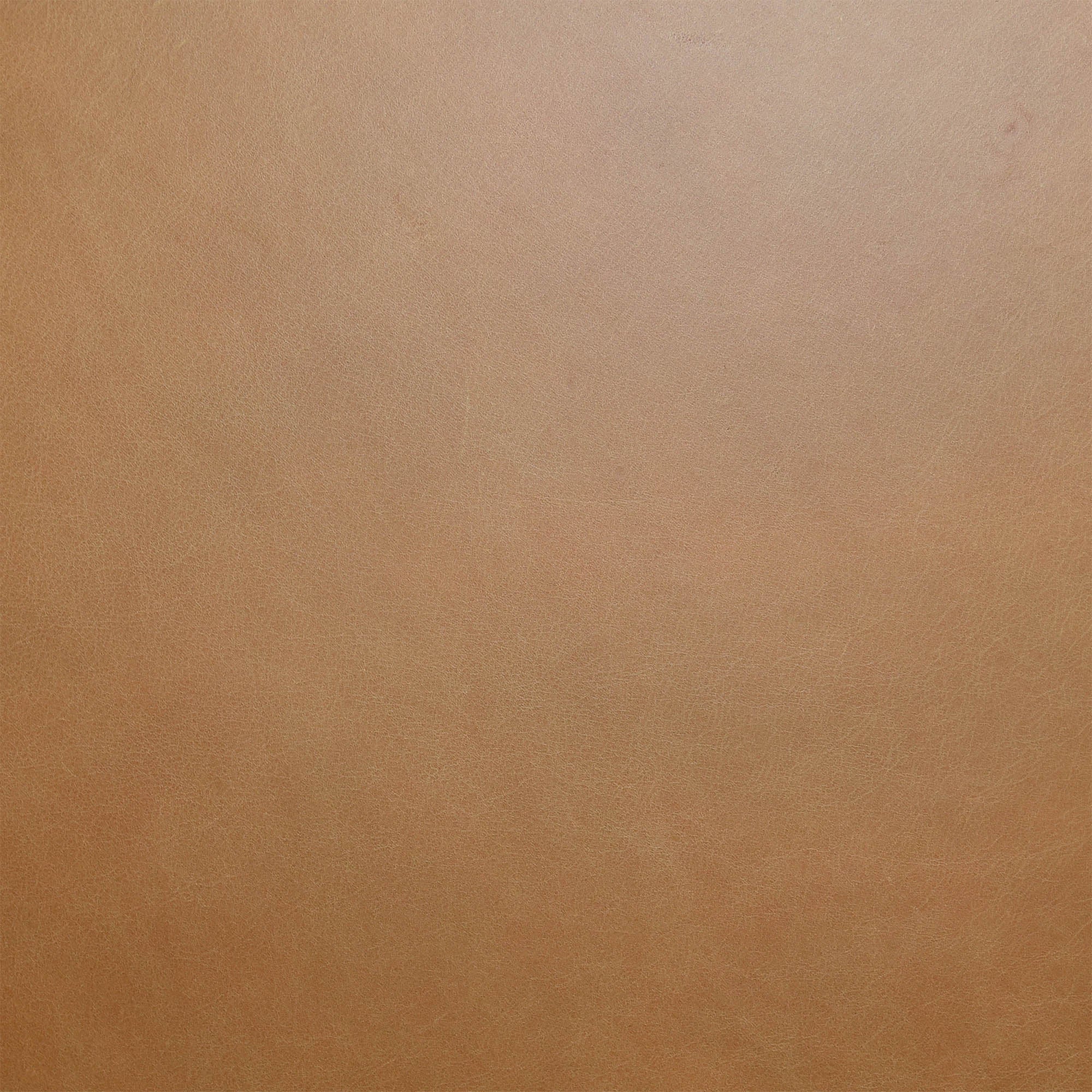 Dakota Dining Chair - Vintage Tan