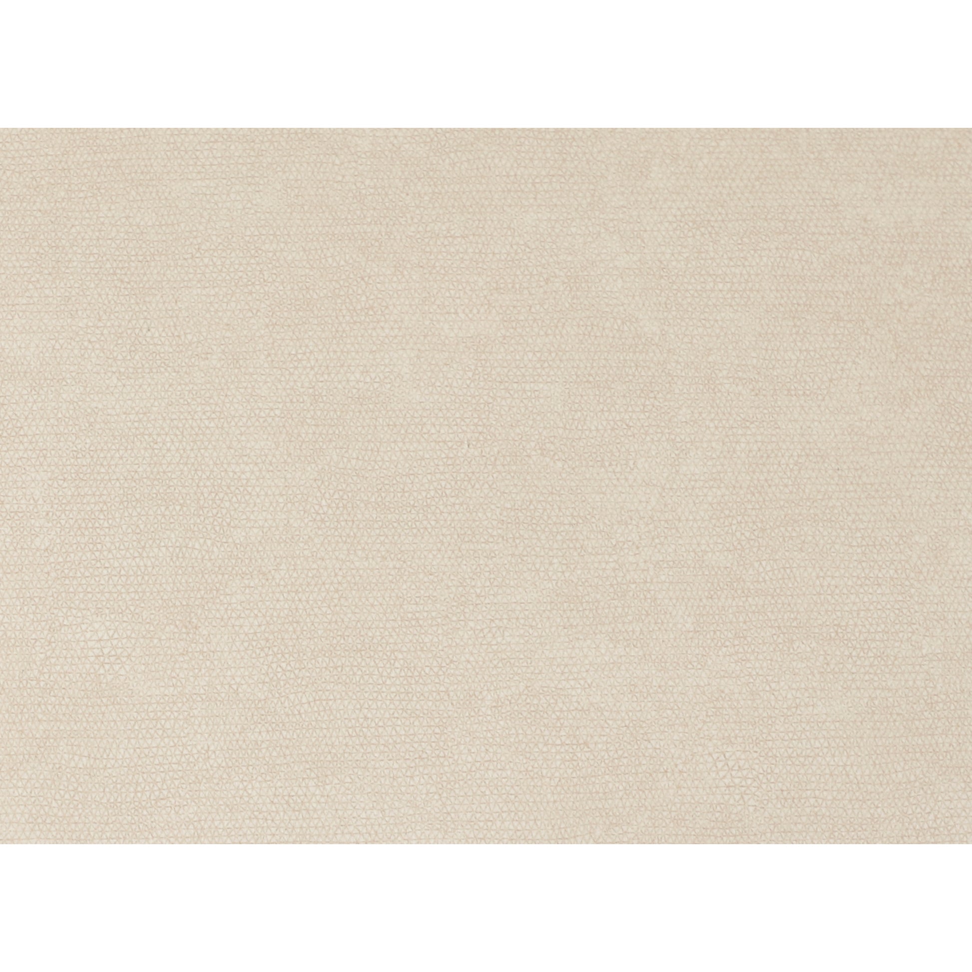 Delaney Dining Chair Warm Beige - Set of Two - Central Designs