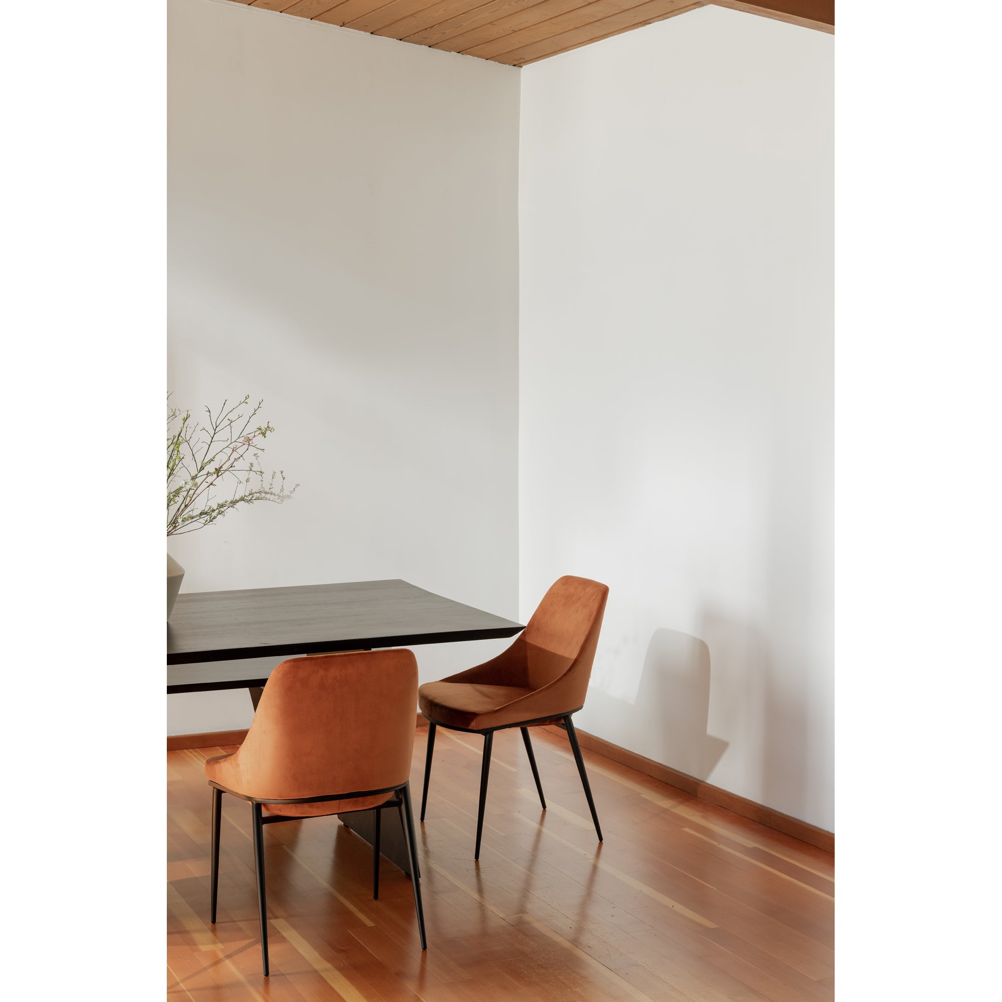 Sedona Dining Chair Amber - Set Of Two - Central Designs