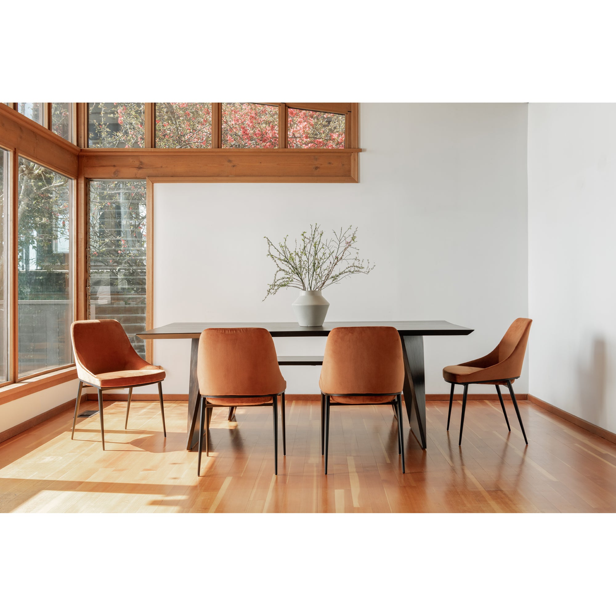 Sedona Dining Chair Amber - Set Of Two - Central Designs
