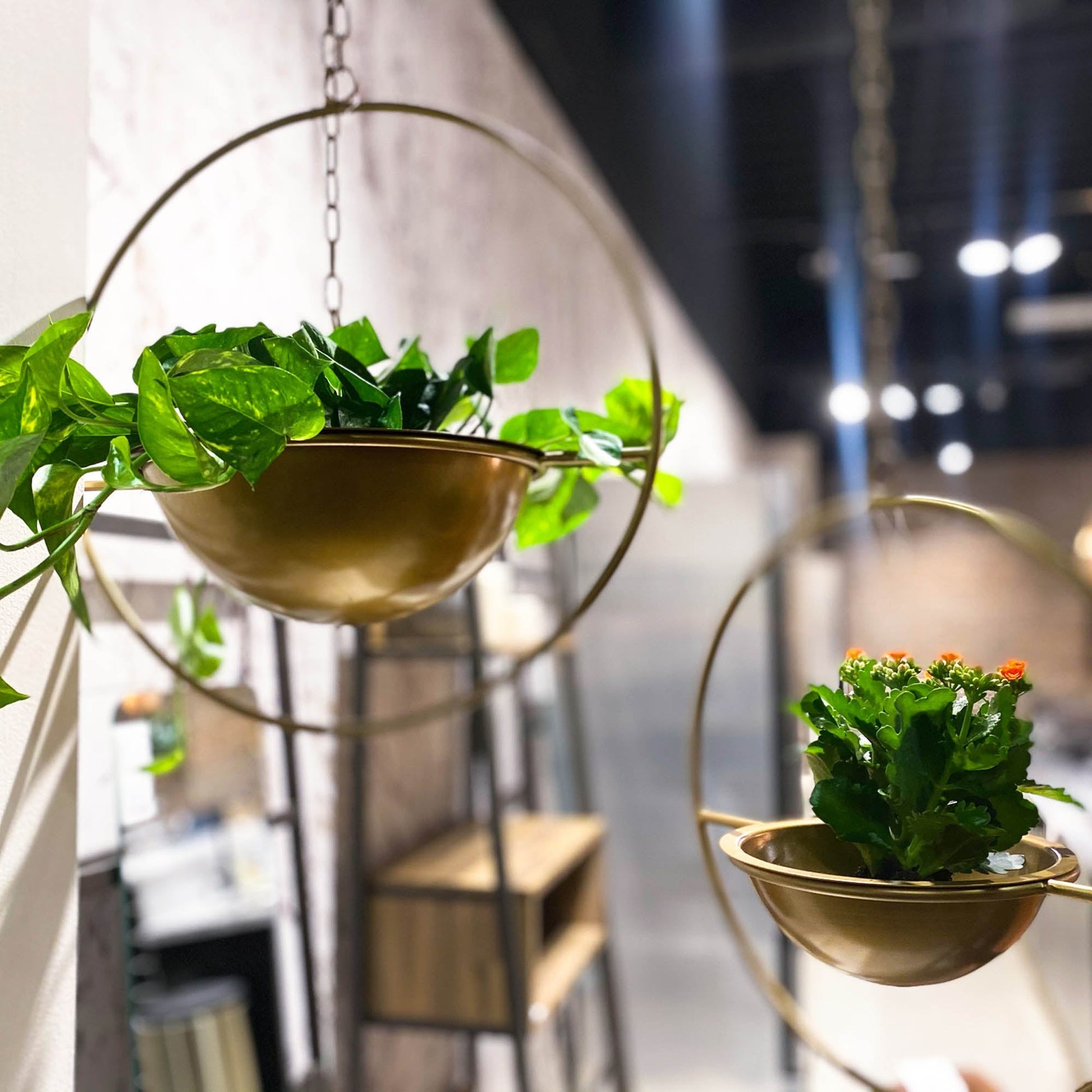 Earth Wind & Fire Hanging Pots (Set of 2) - Central Designs