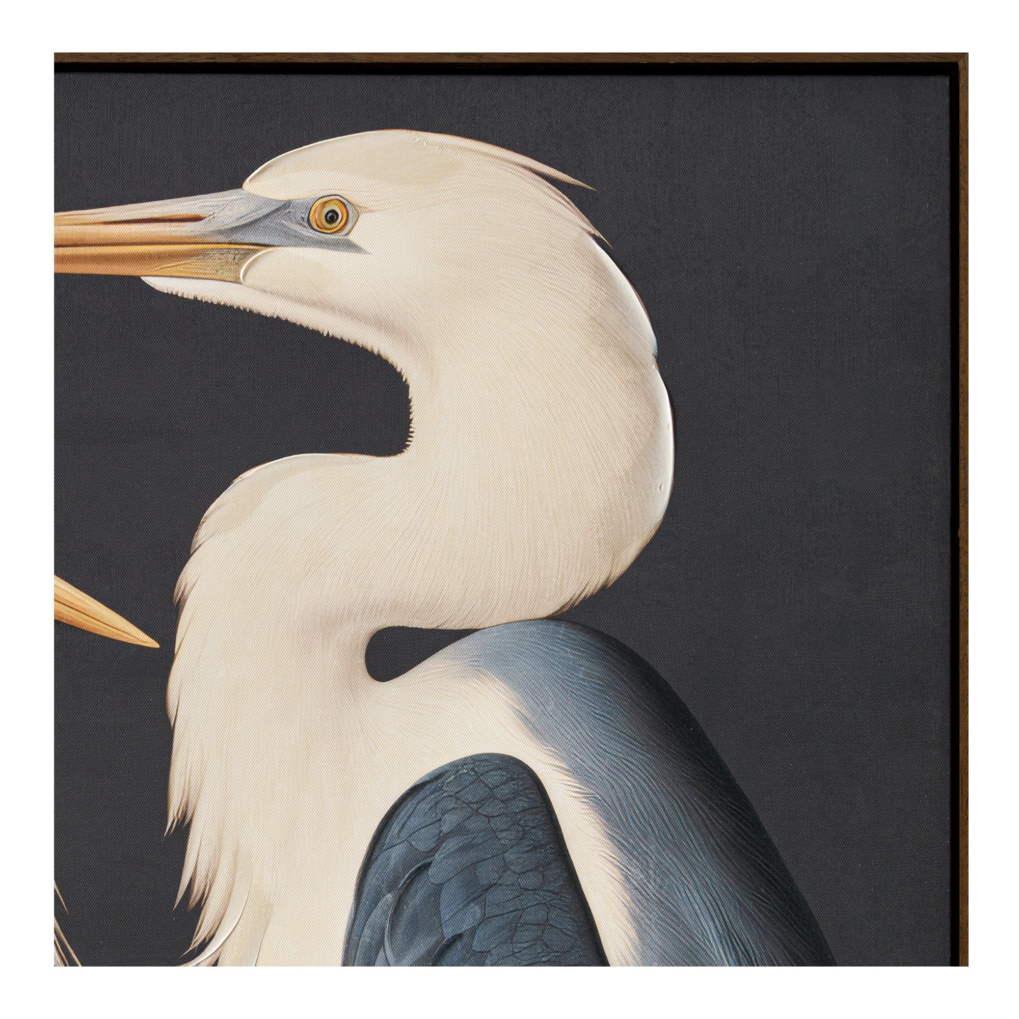 Two Cranes Framed Painting - Central Designs