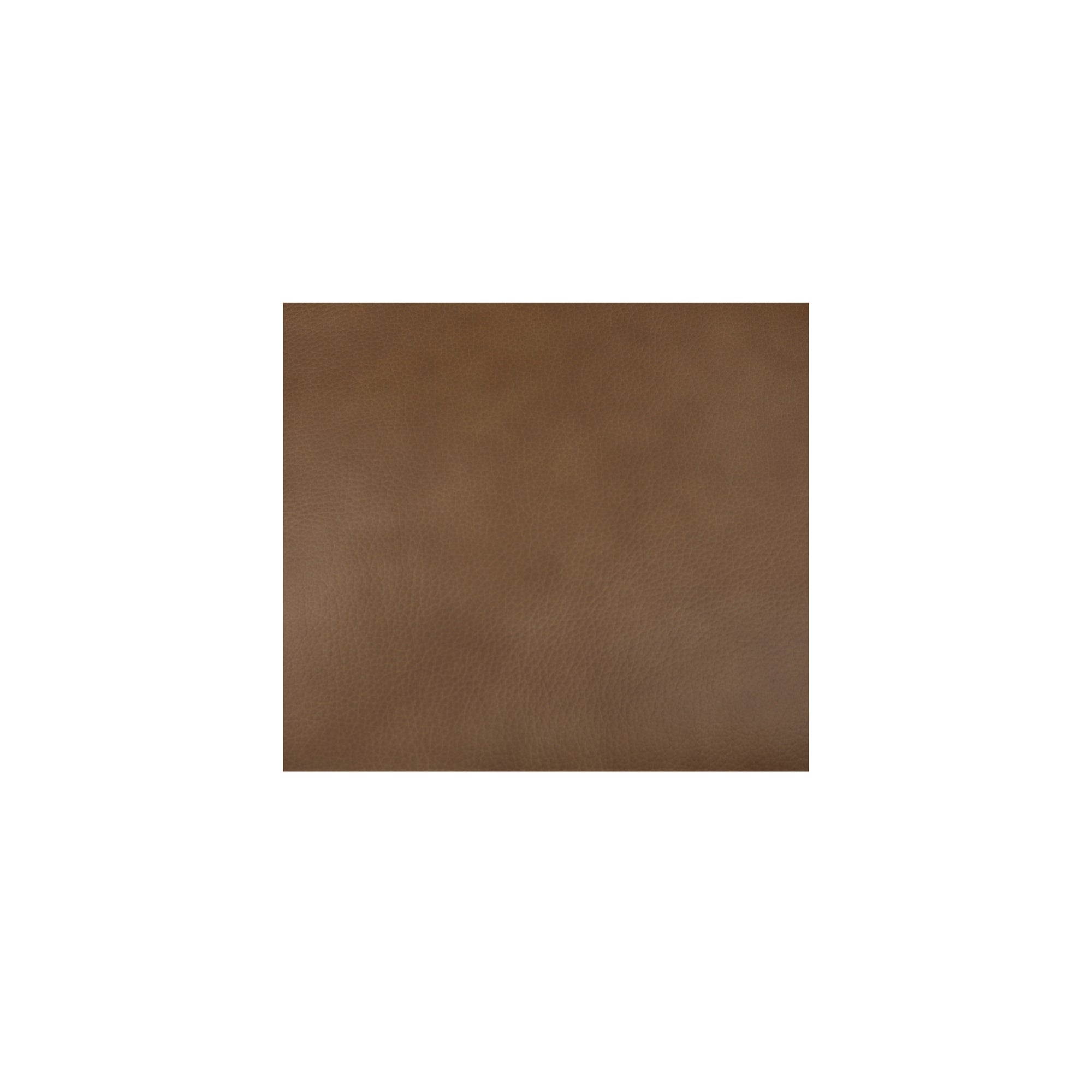 Maisie Rolling Dining Chair Tan Leather - Central Designs