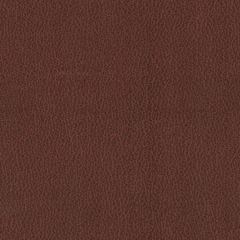 Fraser Dining Chair - Tan Brown