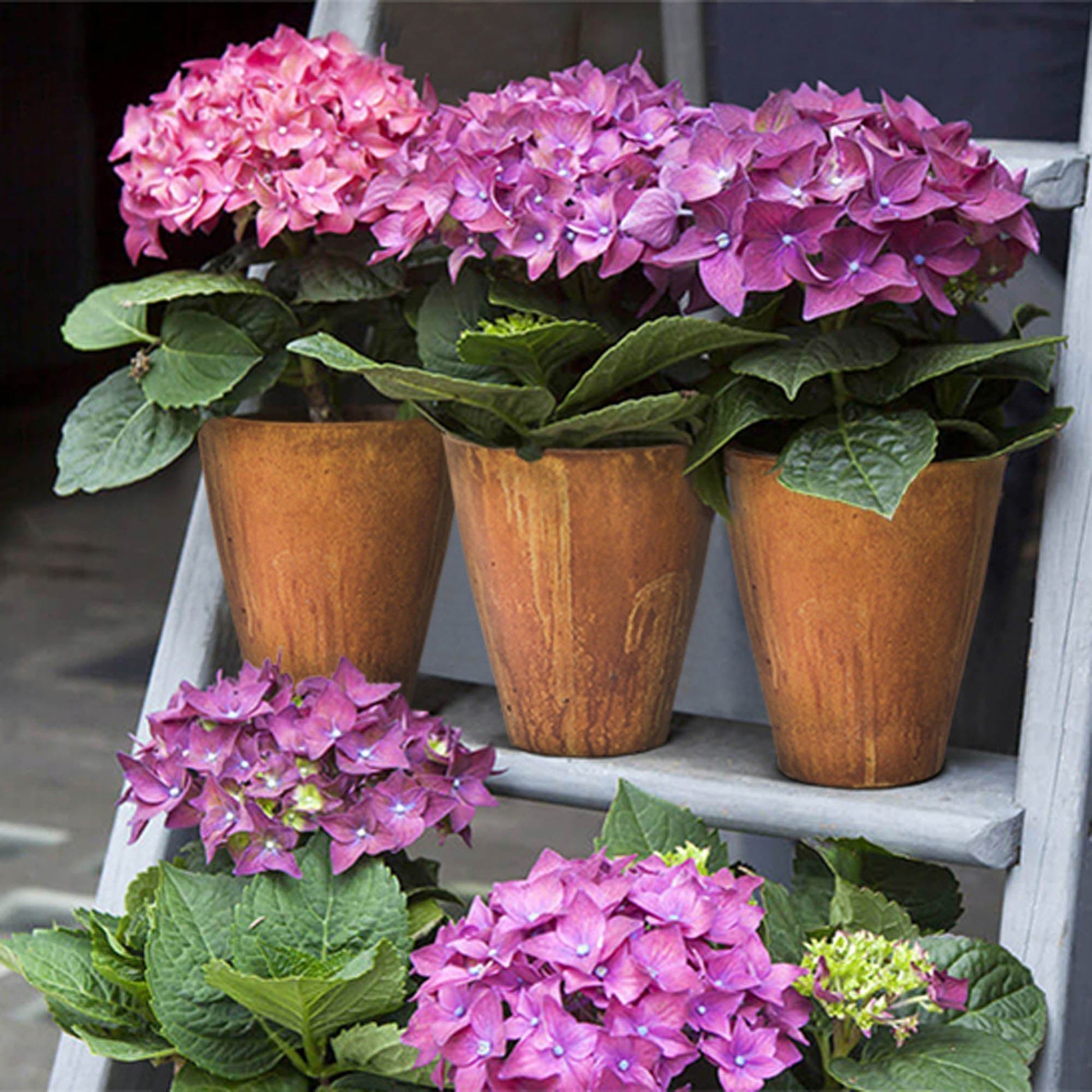 Rustic Medium Vase - Corten - Central Designs