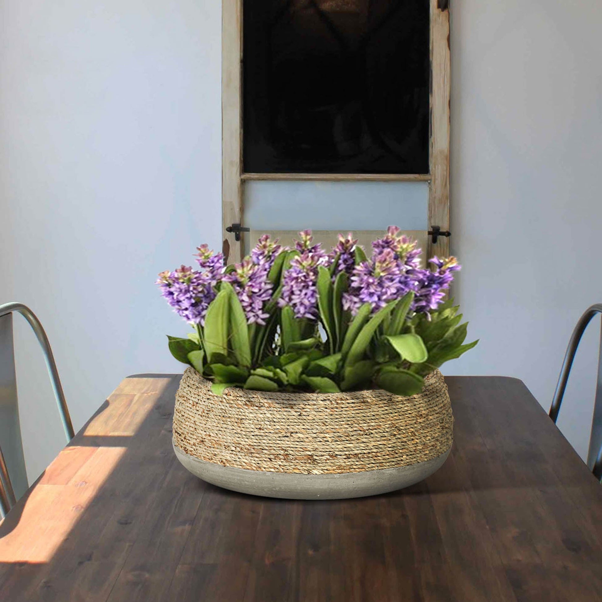 Nature Low Round Grass and Concrete Pot - Central Designs