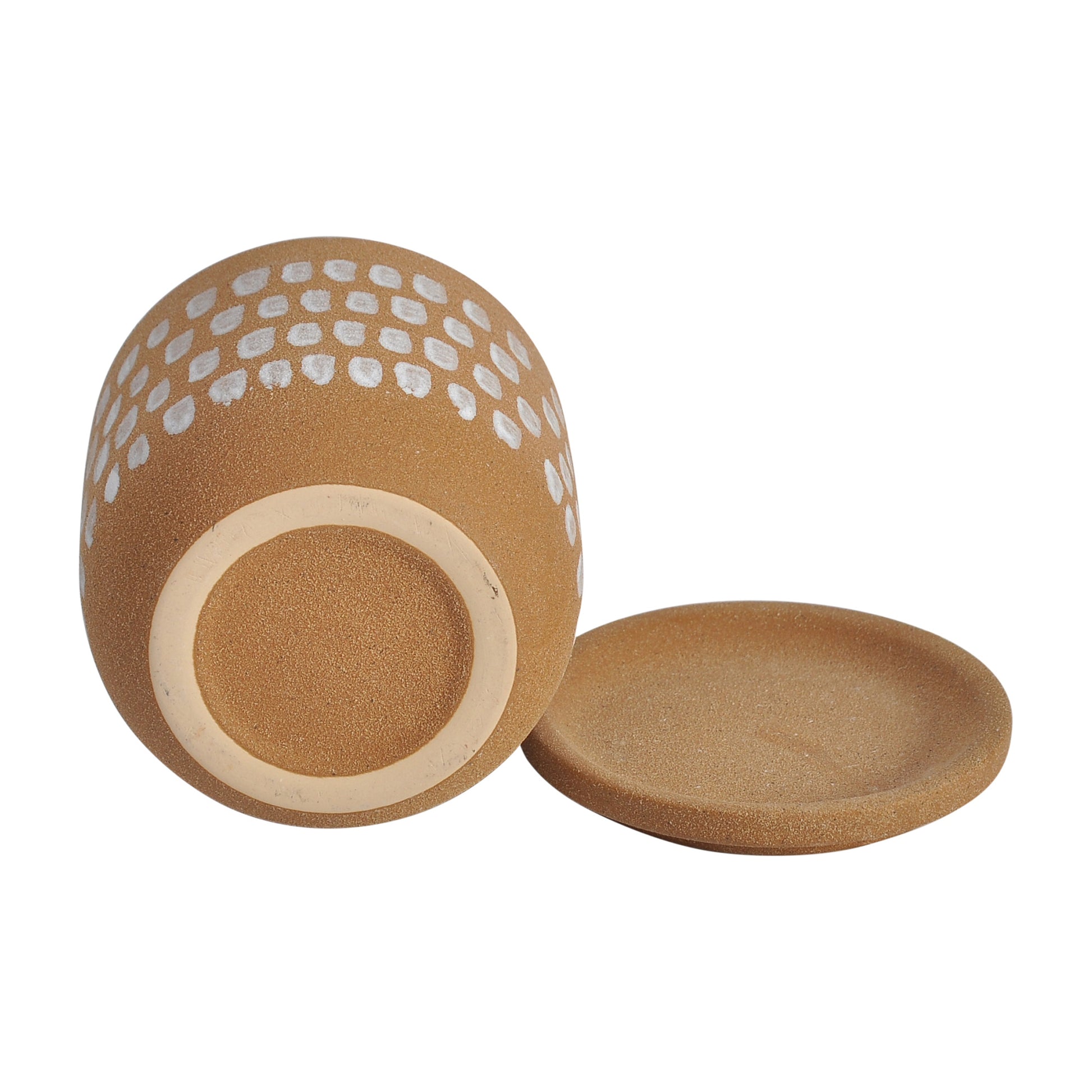 Botanical Planter - Central Designs