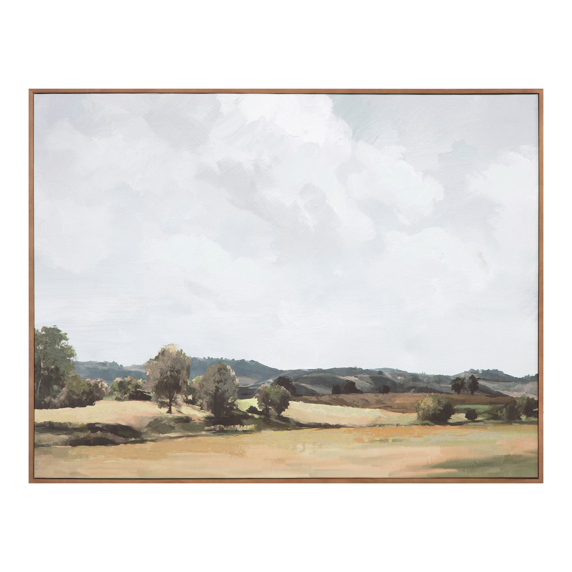 Vast Country Framed Painting - Central Designs