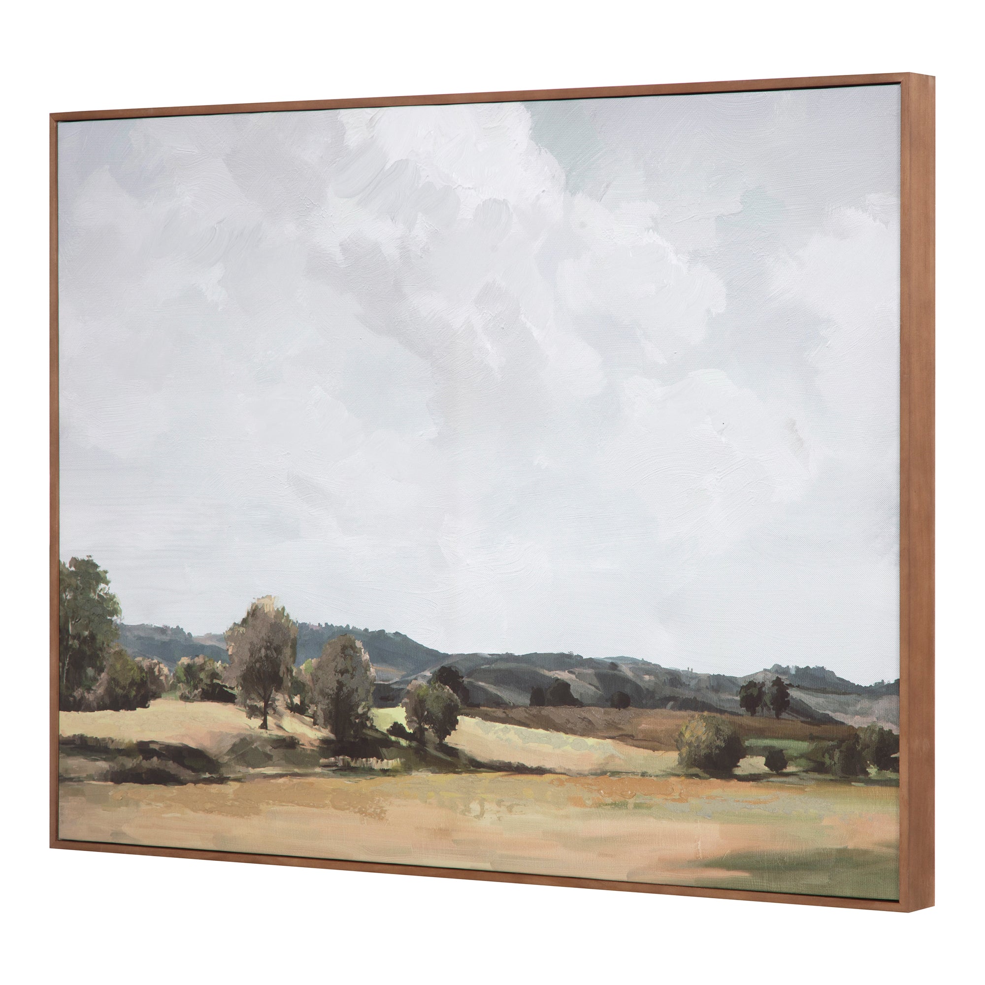 Vast Country Framed Painting - Central Designs