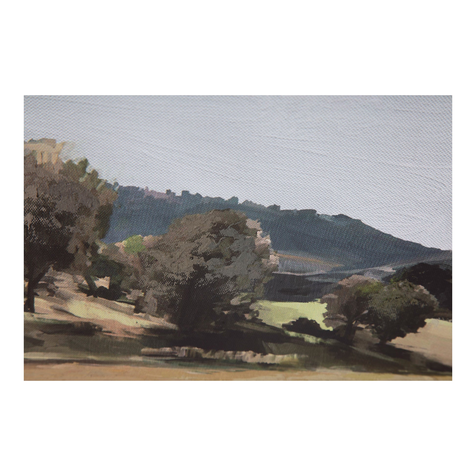 Vast Country Framed Painting - Central Designs
