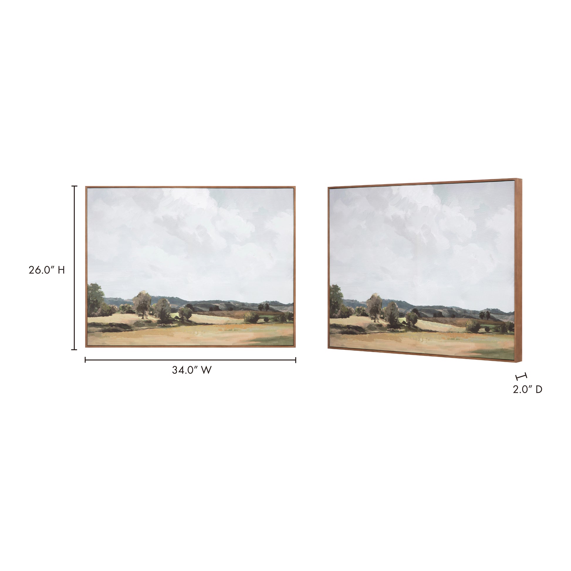 Vast Country Framed Painting - Central Designs