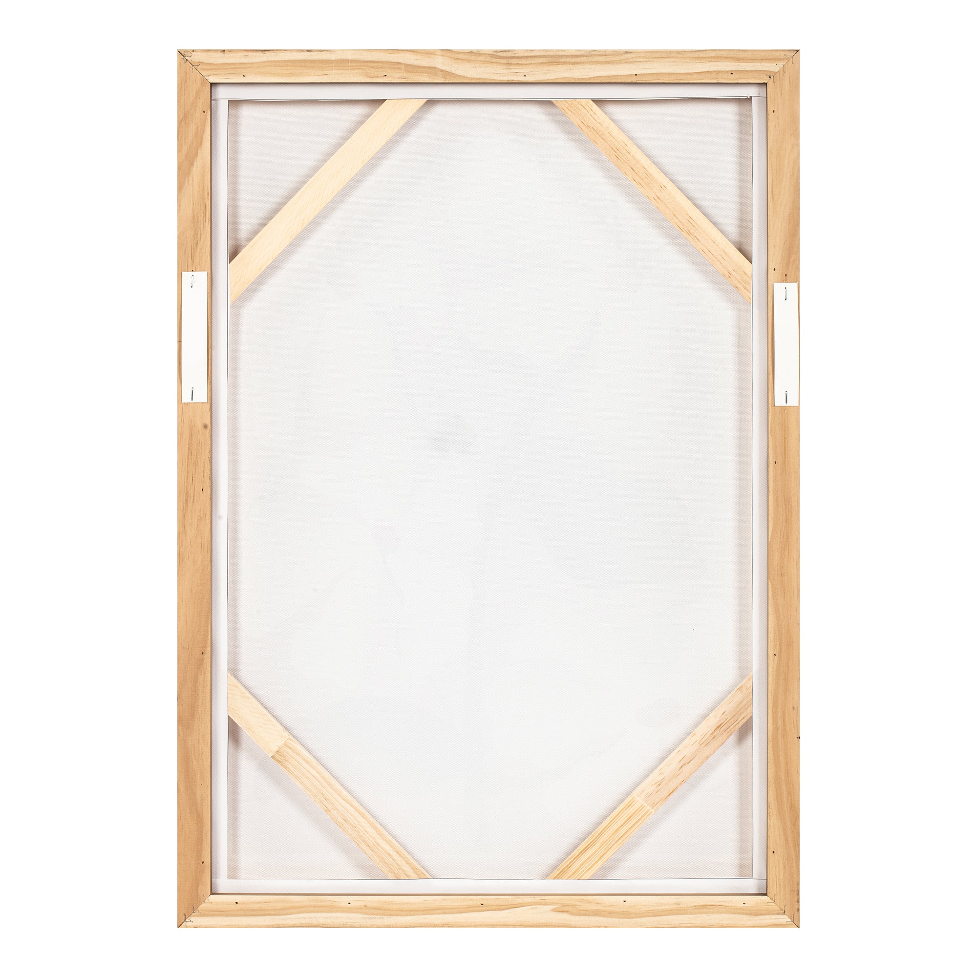 Blush Framed Painting - Central Designs