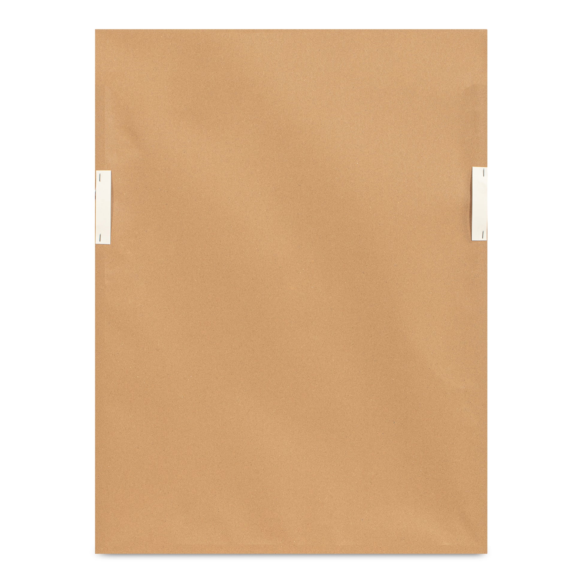 Ash Framed Print - Central Designs