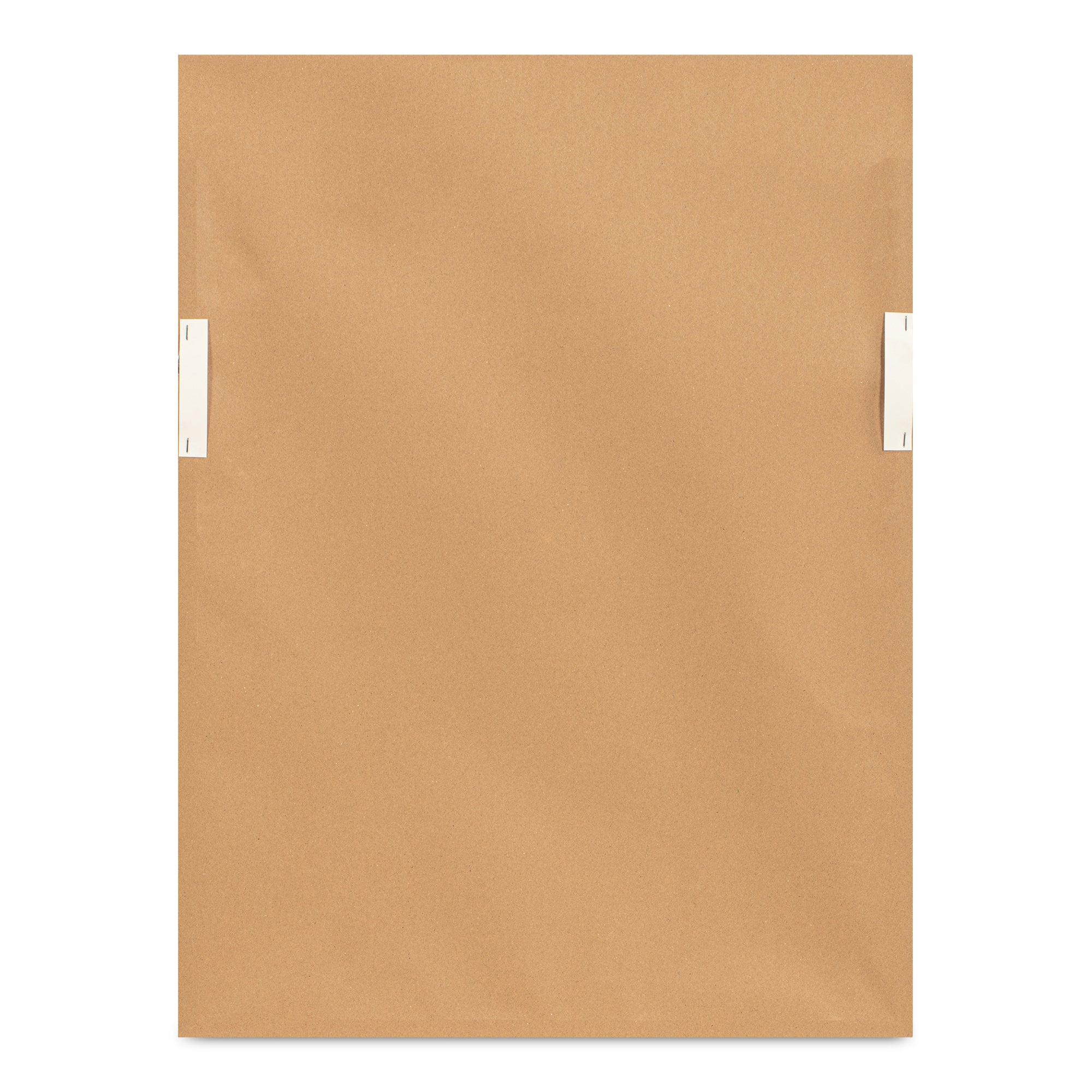 Ash Framed Print - Central Designs