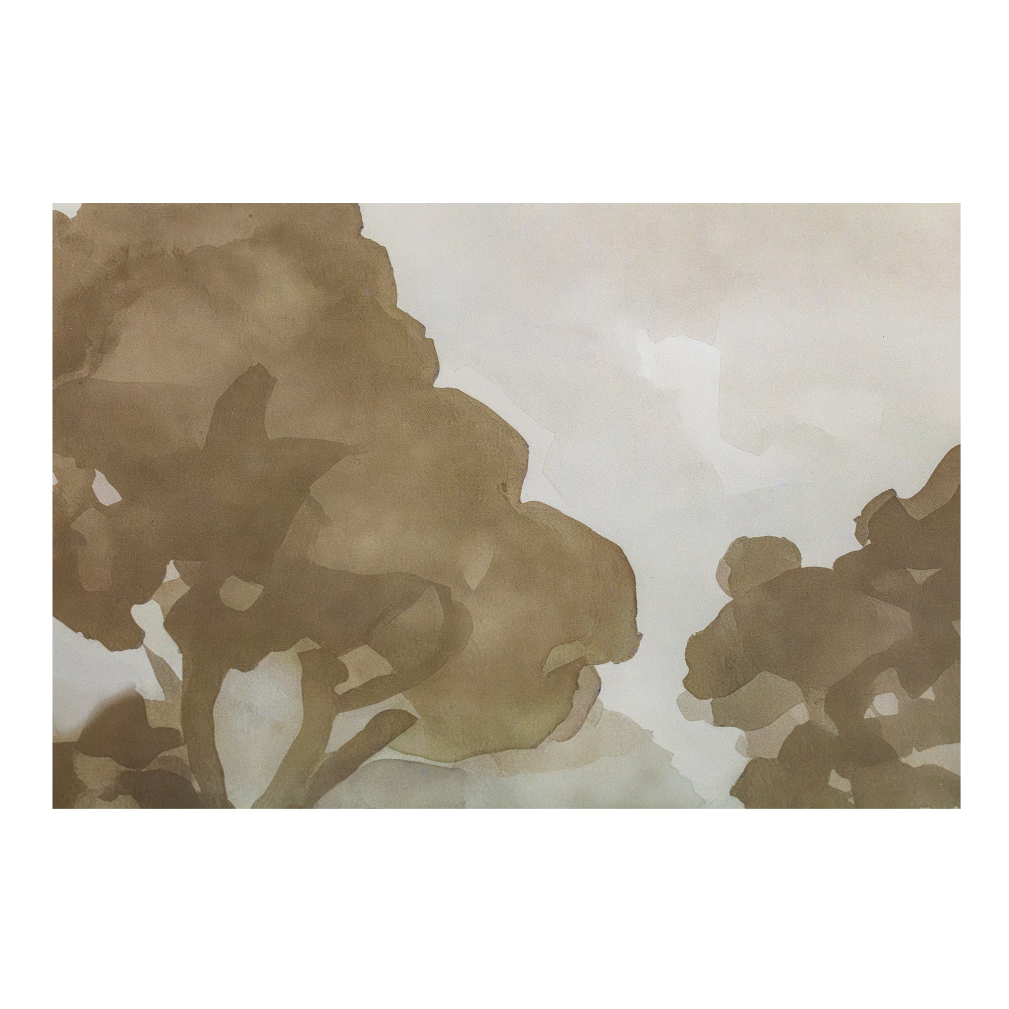 Ash Framed Print - Central Designs