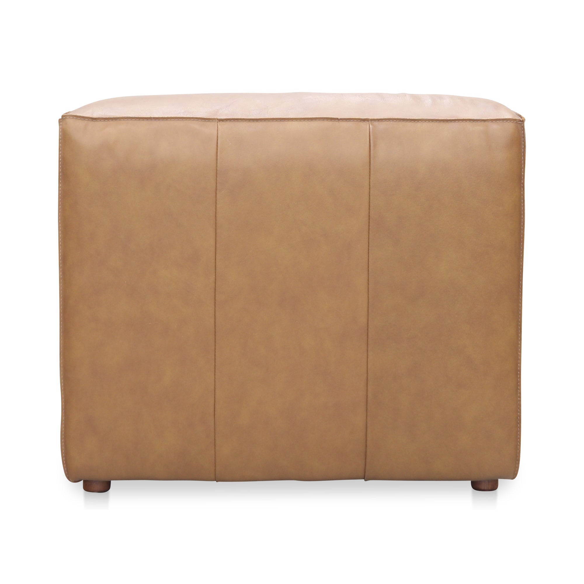 Form Slipper Chair Sonoran Tan Leather - Central Designs