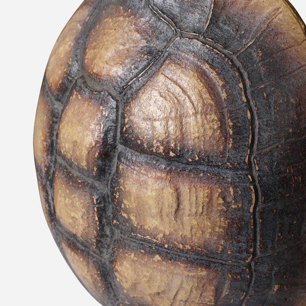 Faux Yellow Footed Tortoise Shell on Stand