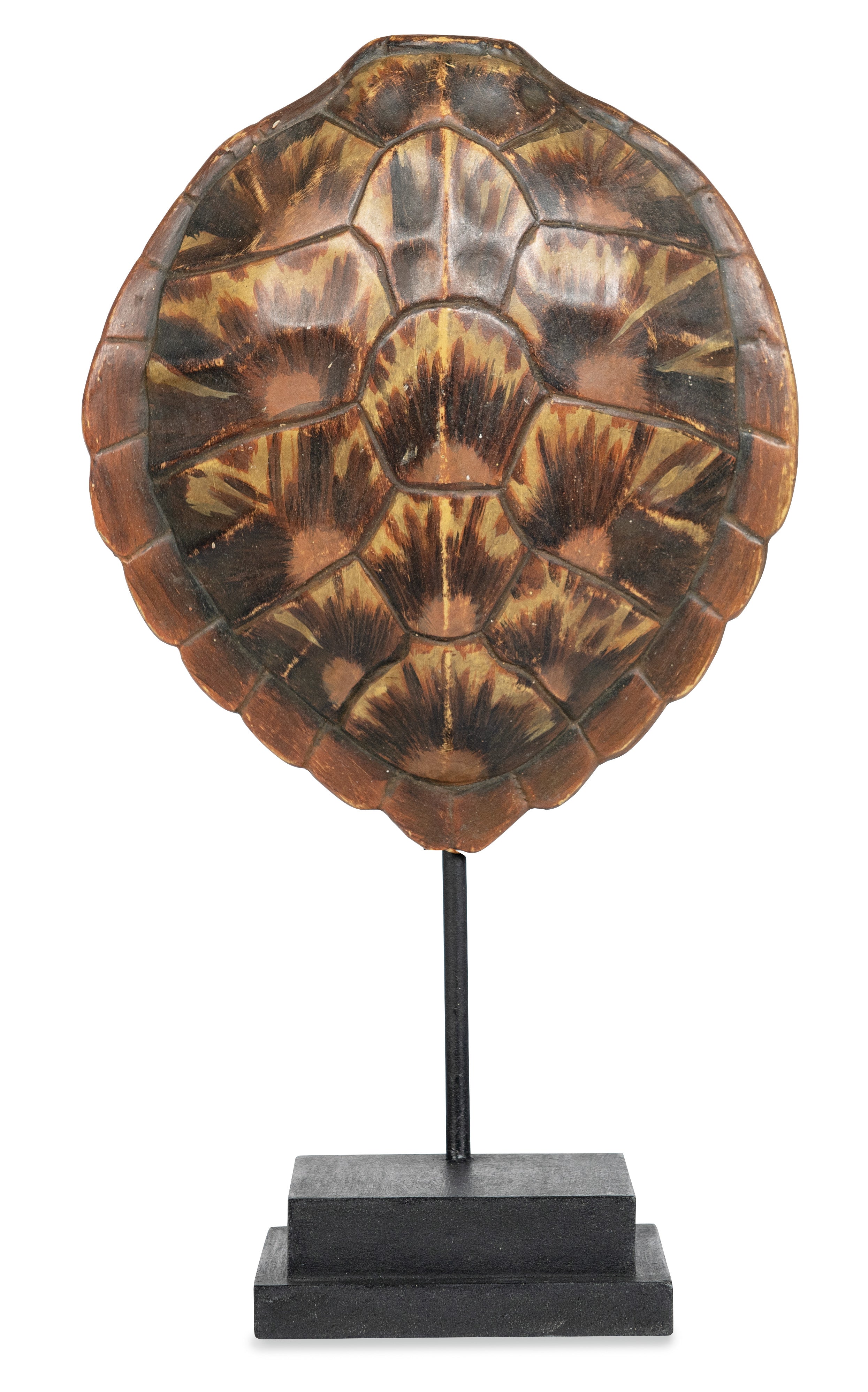 Faux Loggerhead Turtle Shell on Stand